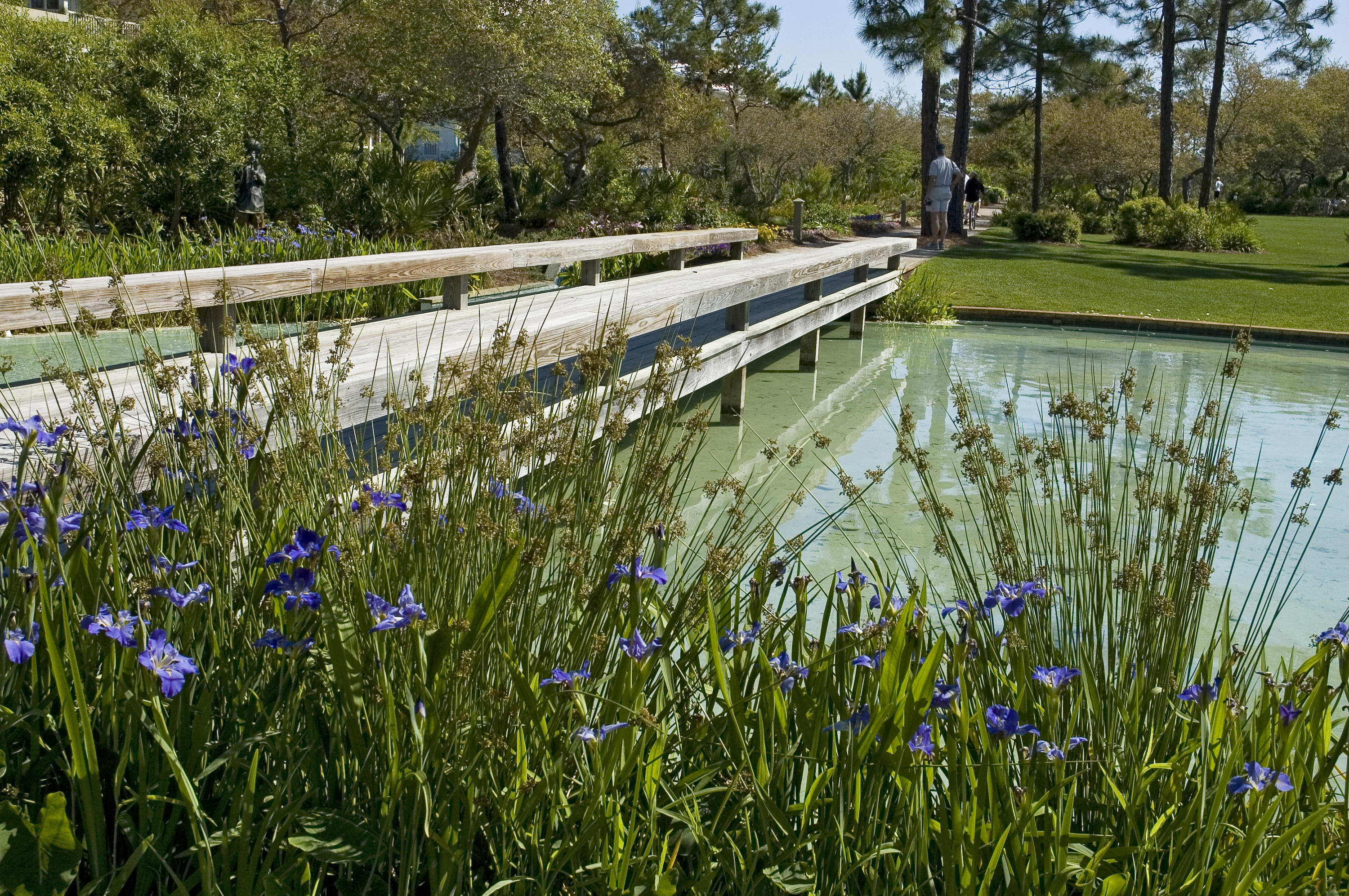 WATERCOLOR - Residential