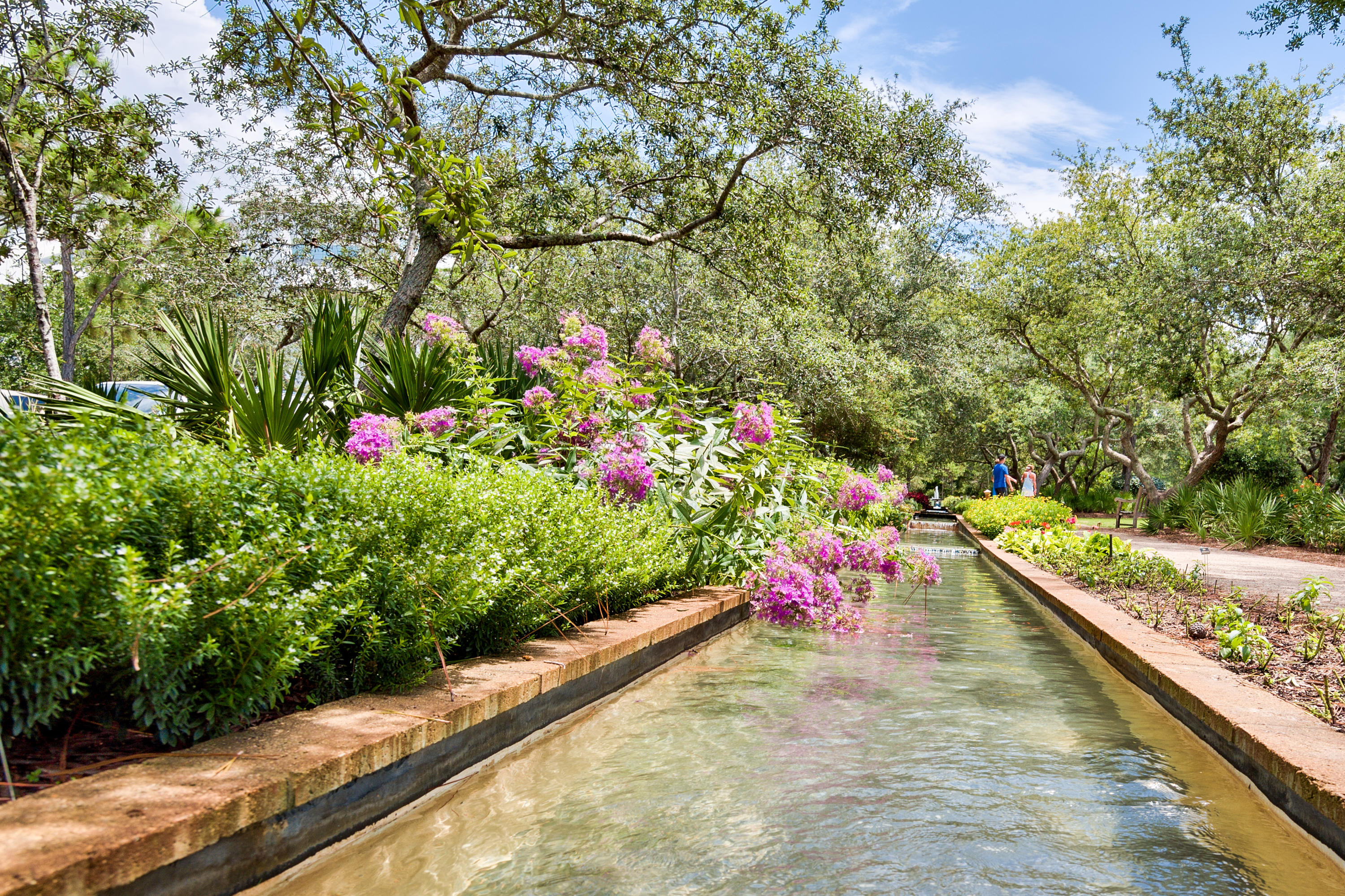 WATERCOLOR - Residential
