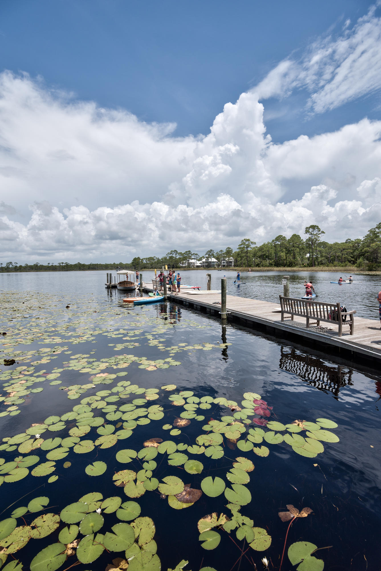WATERCOLOR - Residential