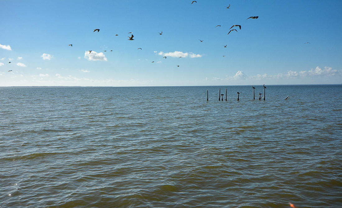 BAY GROVE 1ST ADDN - Residential