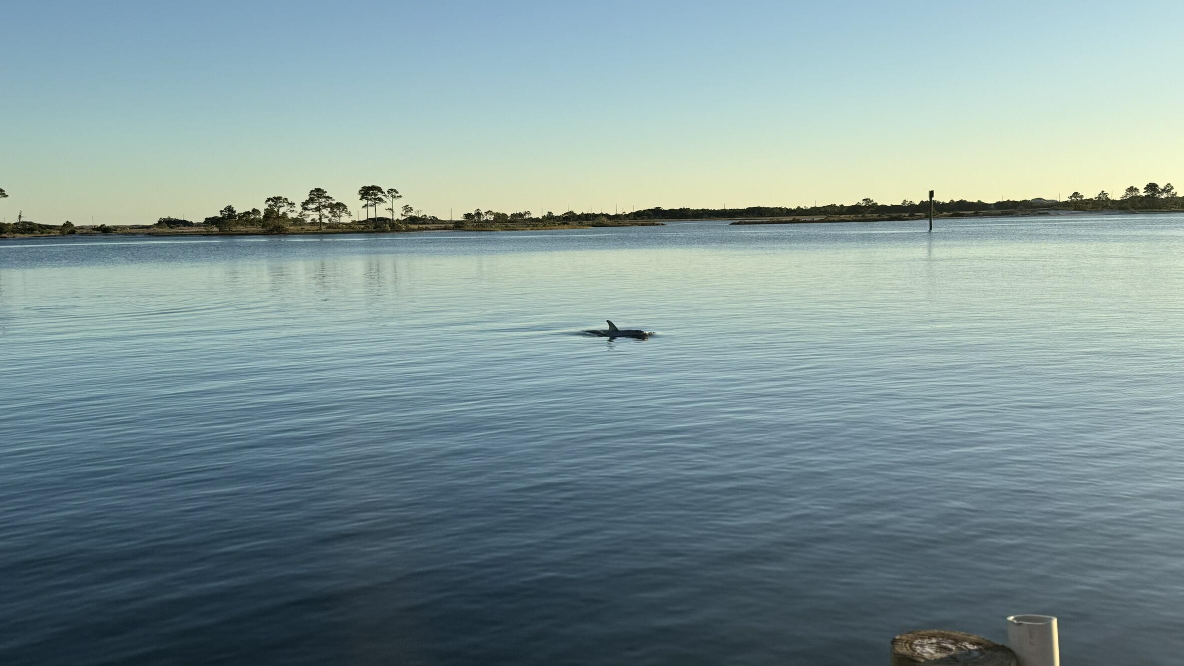 CEDARS CONDO - Residential Lease