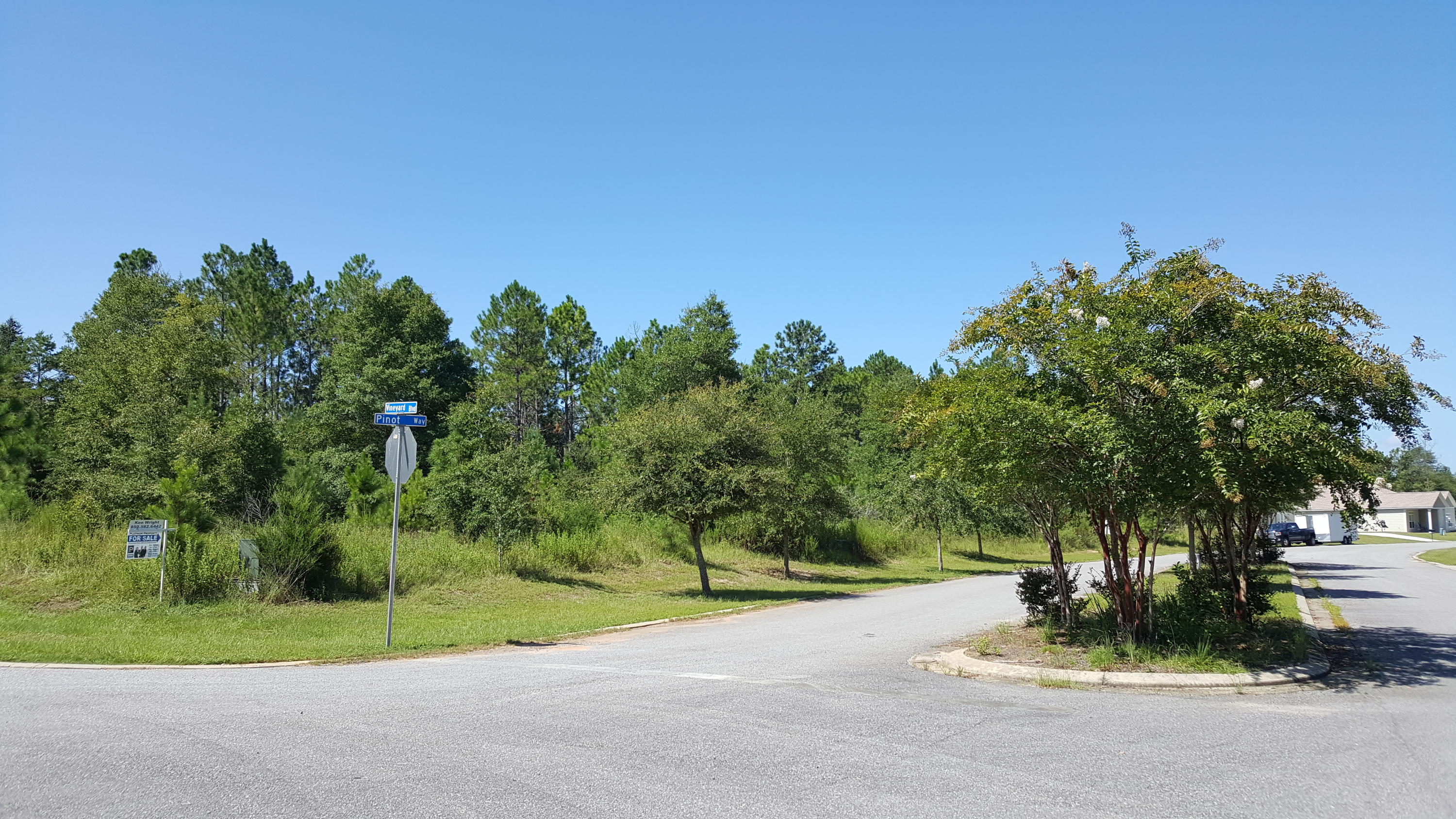 OVER Half Acre CORNER Lot For Sale - Majestic Oaks Vineyard is located far enough north to enjoy the quiet and serenity of the countryside yet only a few miles from the essentials of your family's daily activities such as schools, banking, shopping, grocery store, and movie theatre. Give us a call for more details.