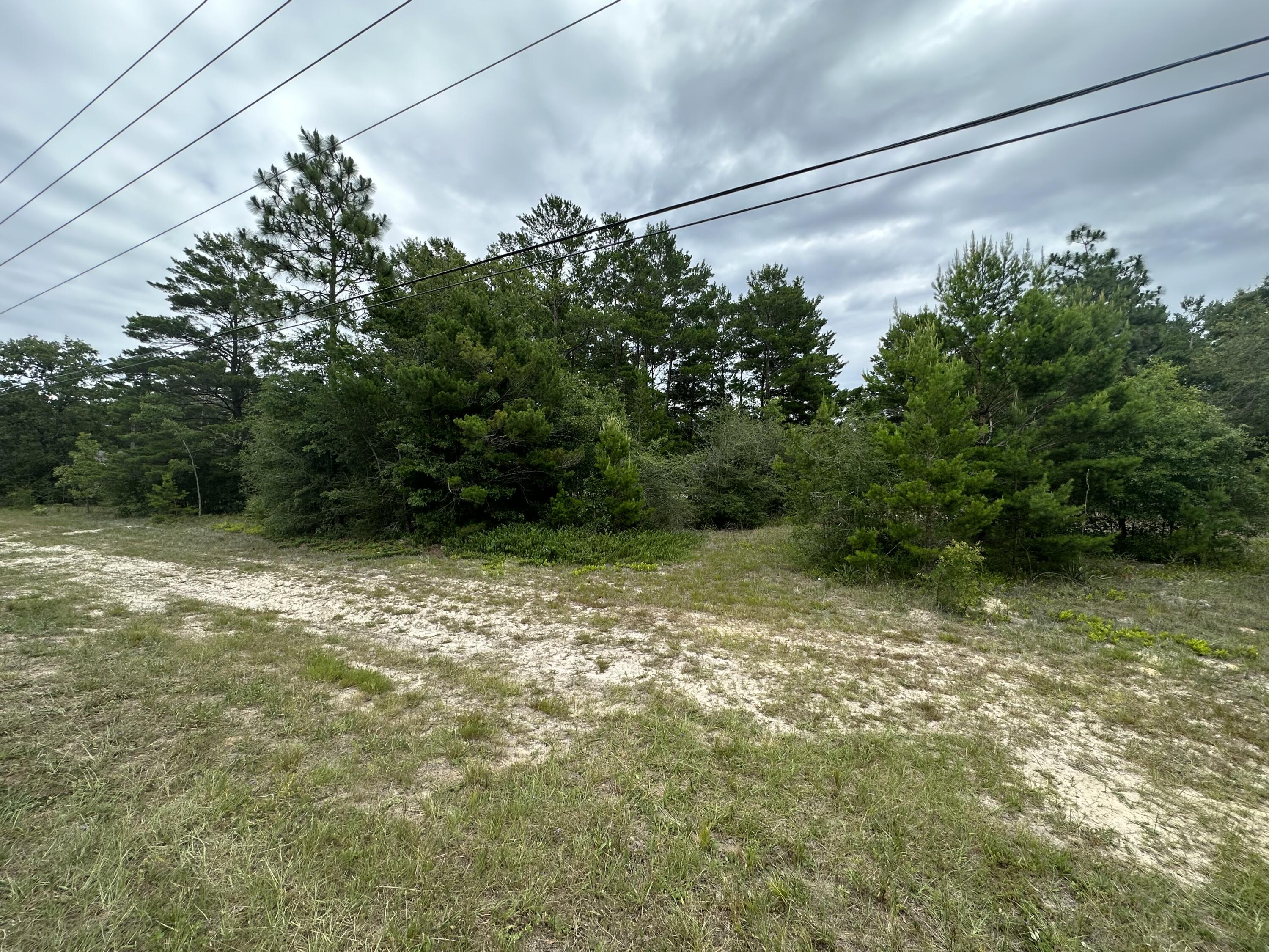 Partially cleared, 1 acre lot in the growing community of Mossy Head. This parcel is located between two beautiful brick homes and is perfect for your dream home or as an investment property. Call today to secure your future home site!