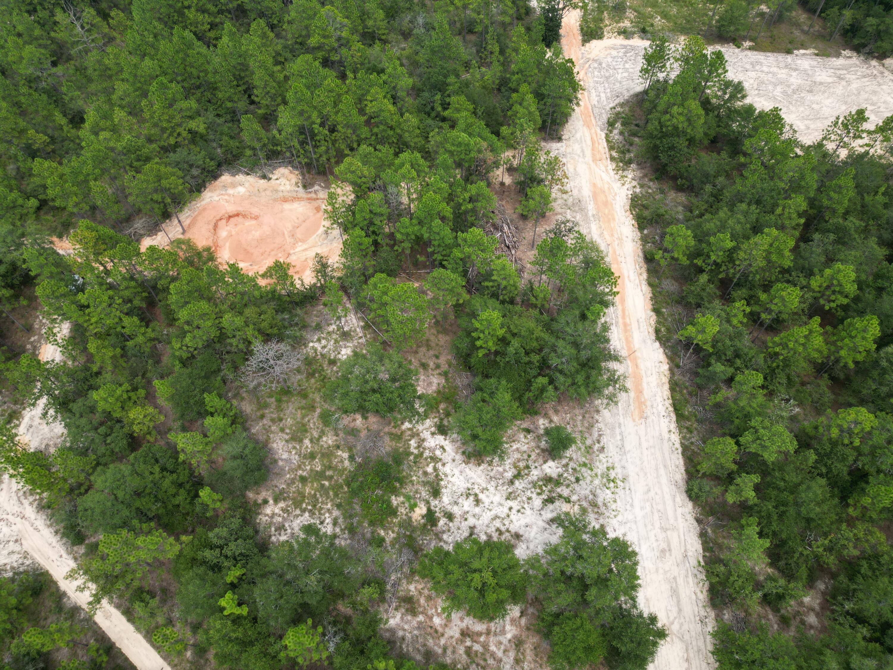 Turkey Creek Woodlands - Land