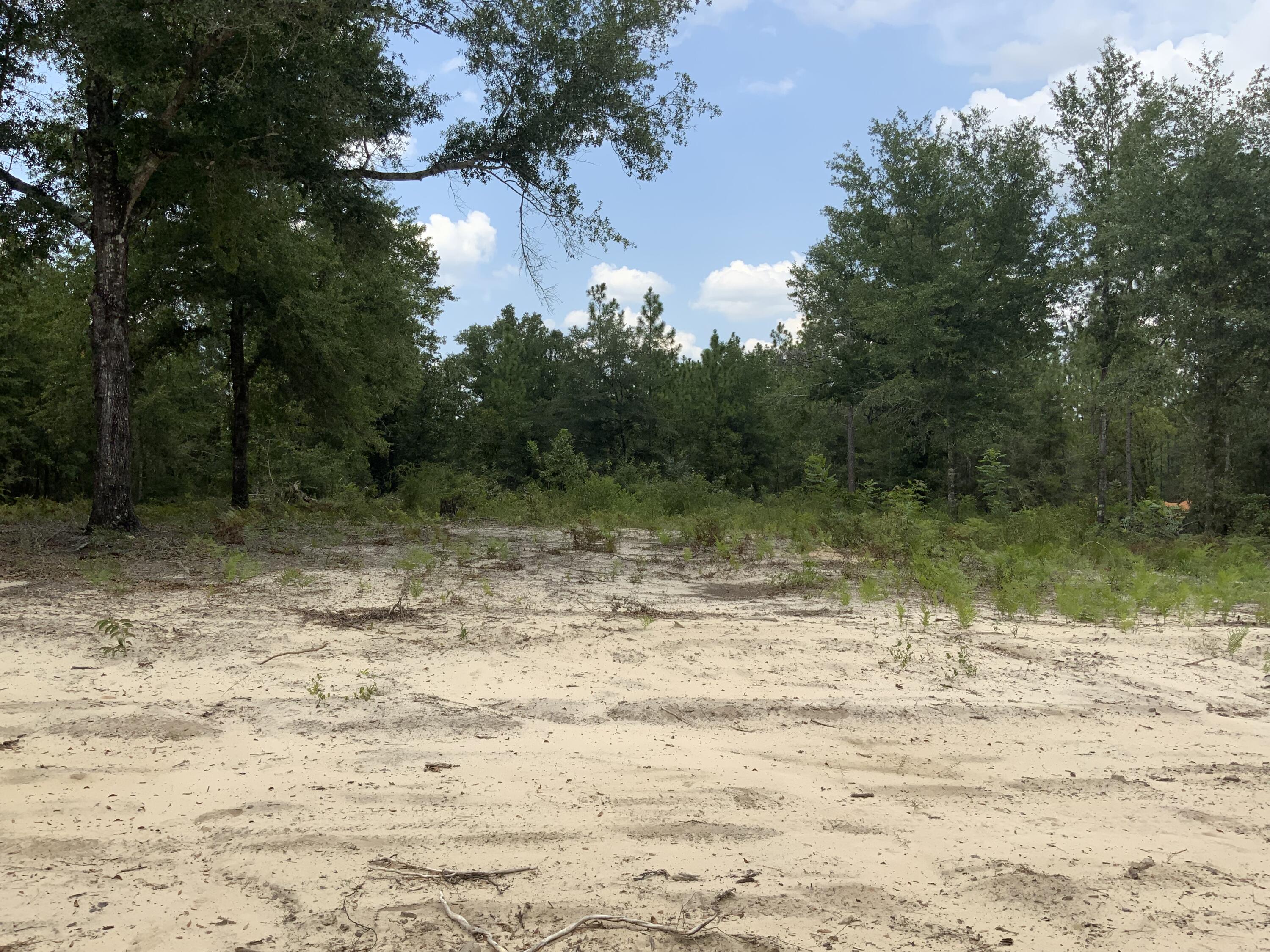 Turkey Creek Woodlands - Land