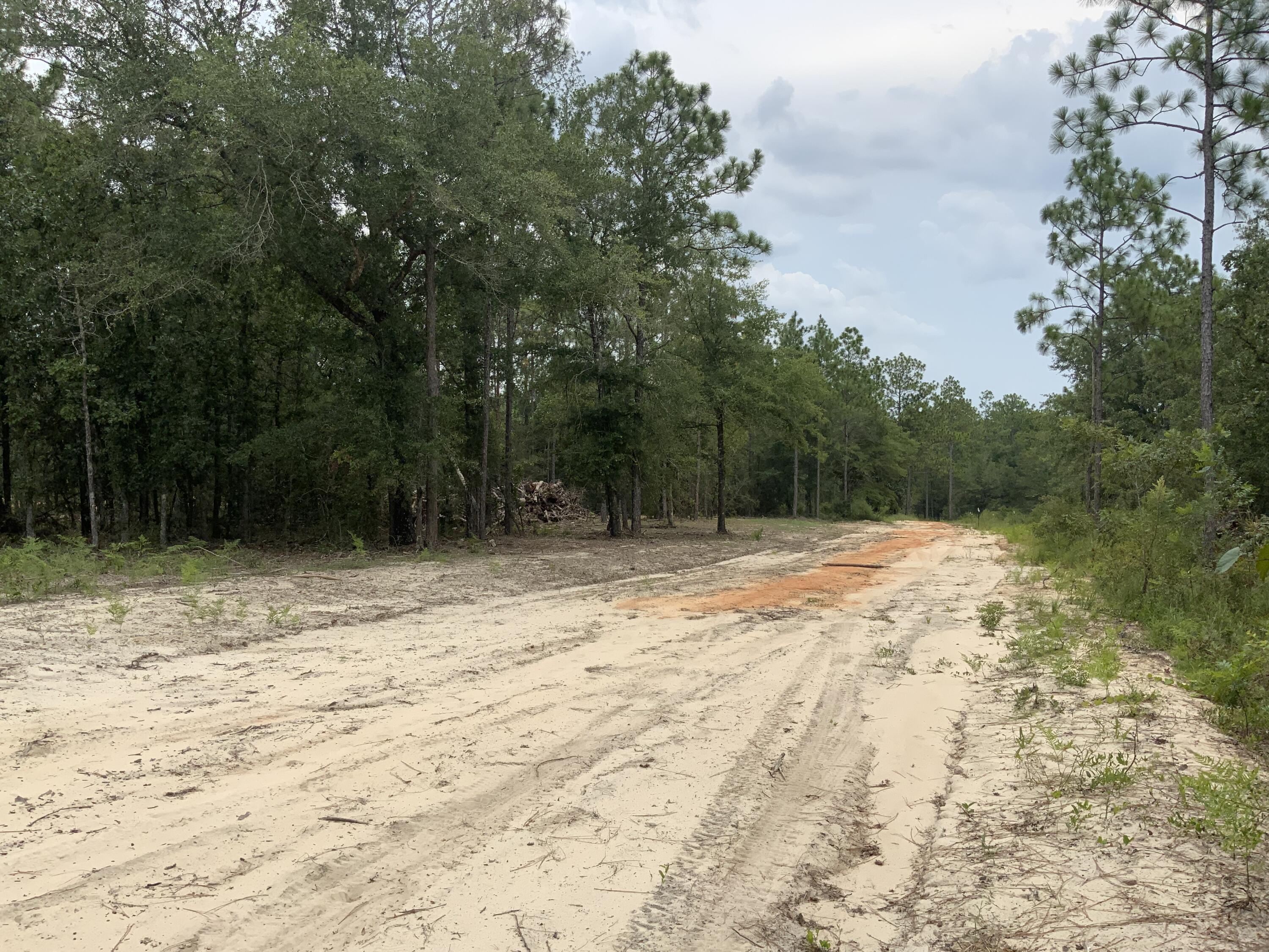 Turkey Creek Woodlands - Land