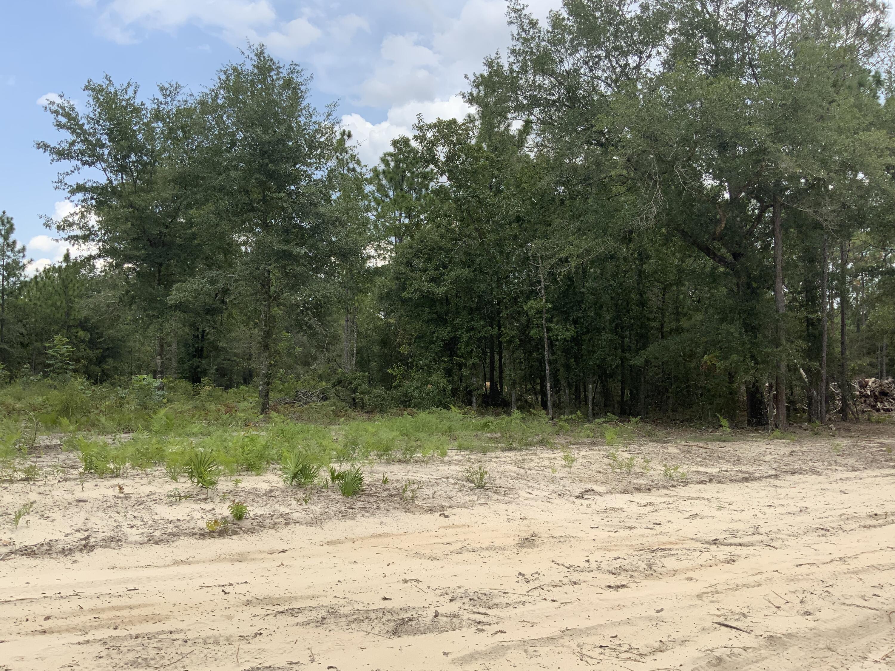 Turkey Creek Woodlands - Land