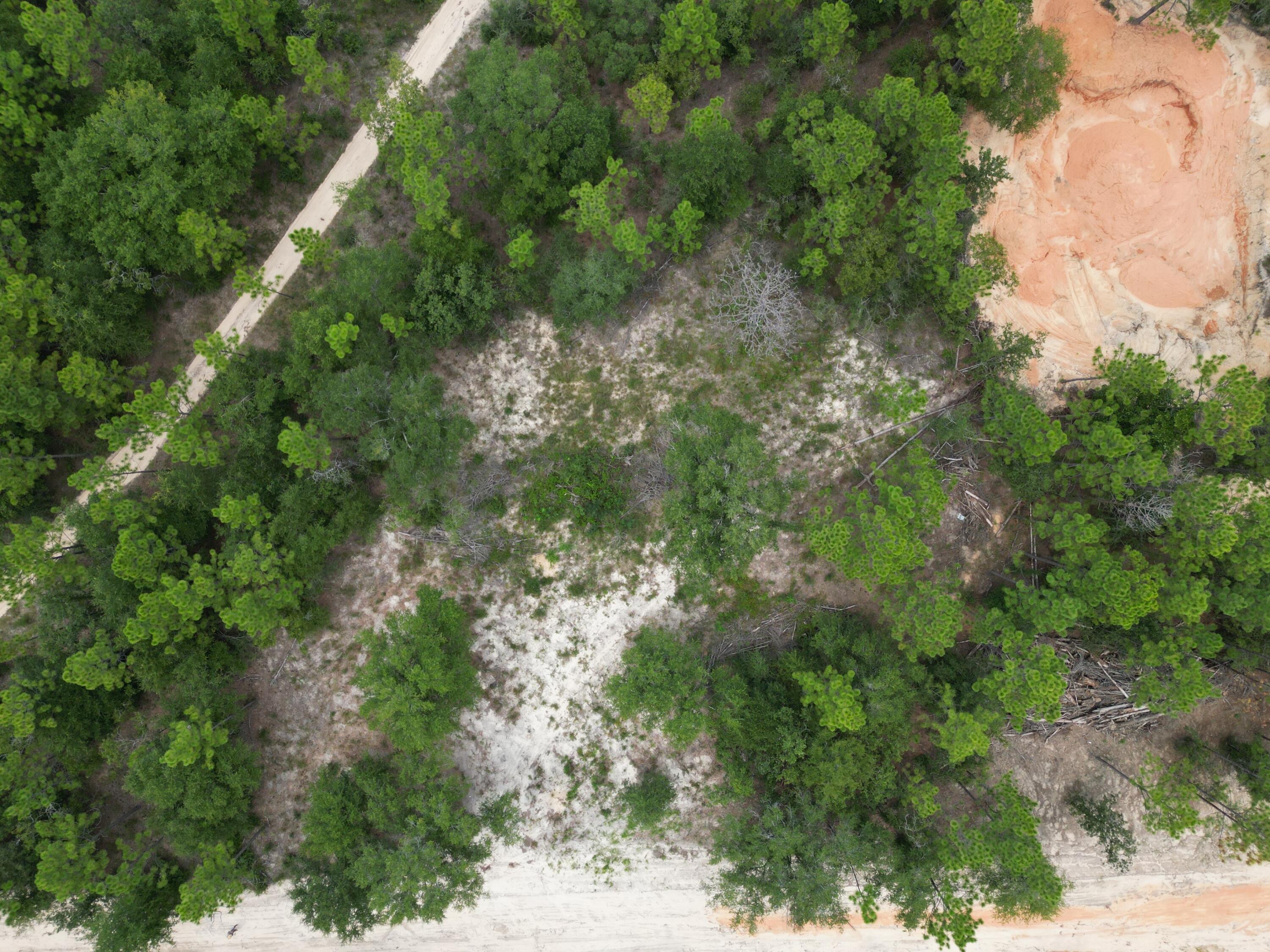 Turkey Creek Woodlands - Land