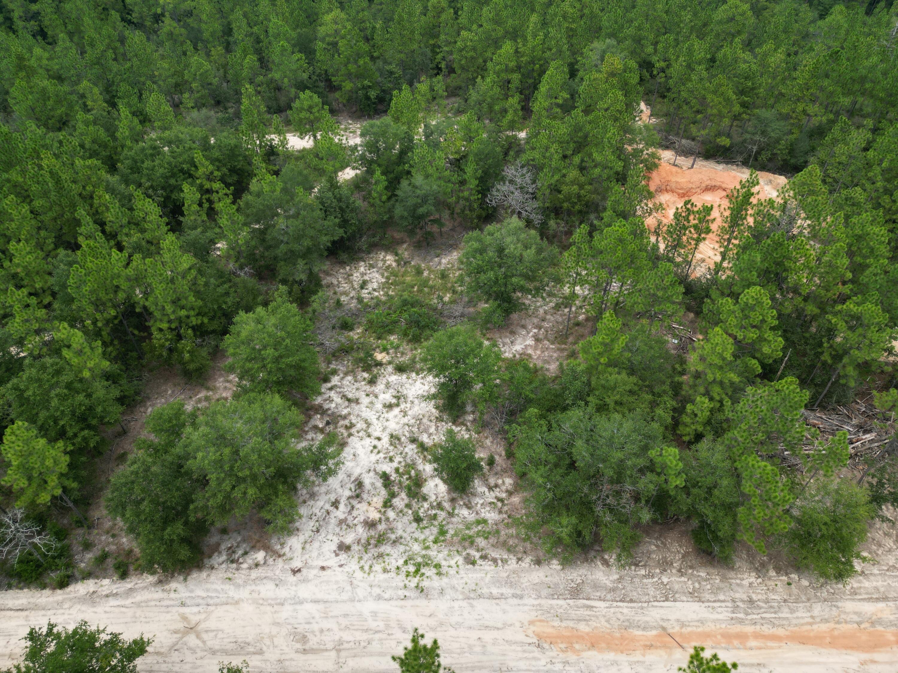 Turkey Creek Woodlands - Land