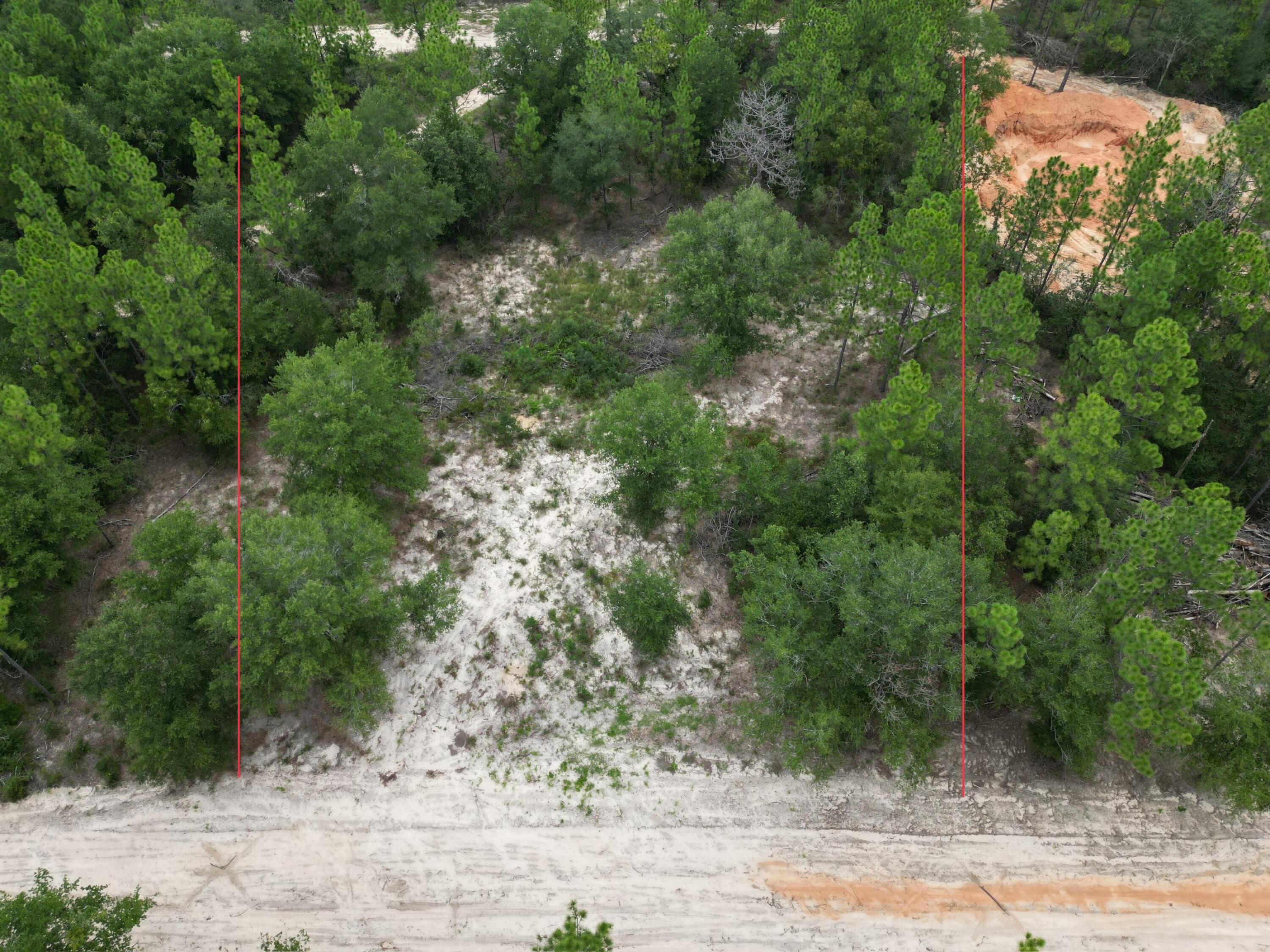 Turkey Creek Woodlands - Land