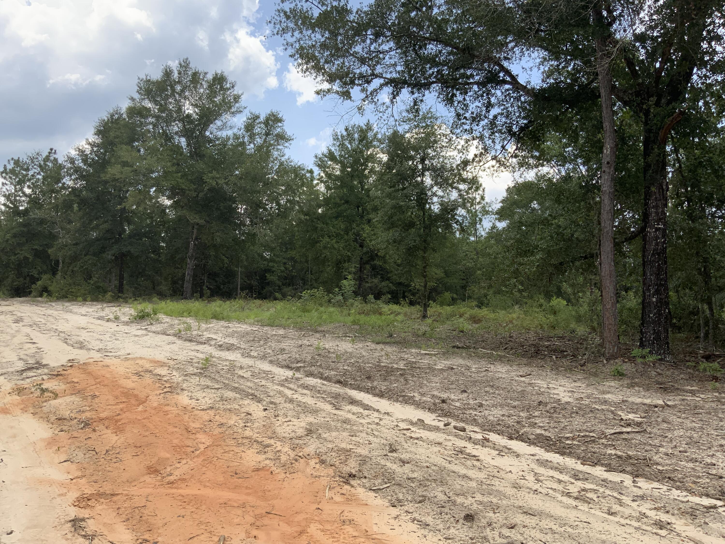 Turkey Creek Woodlands - Land