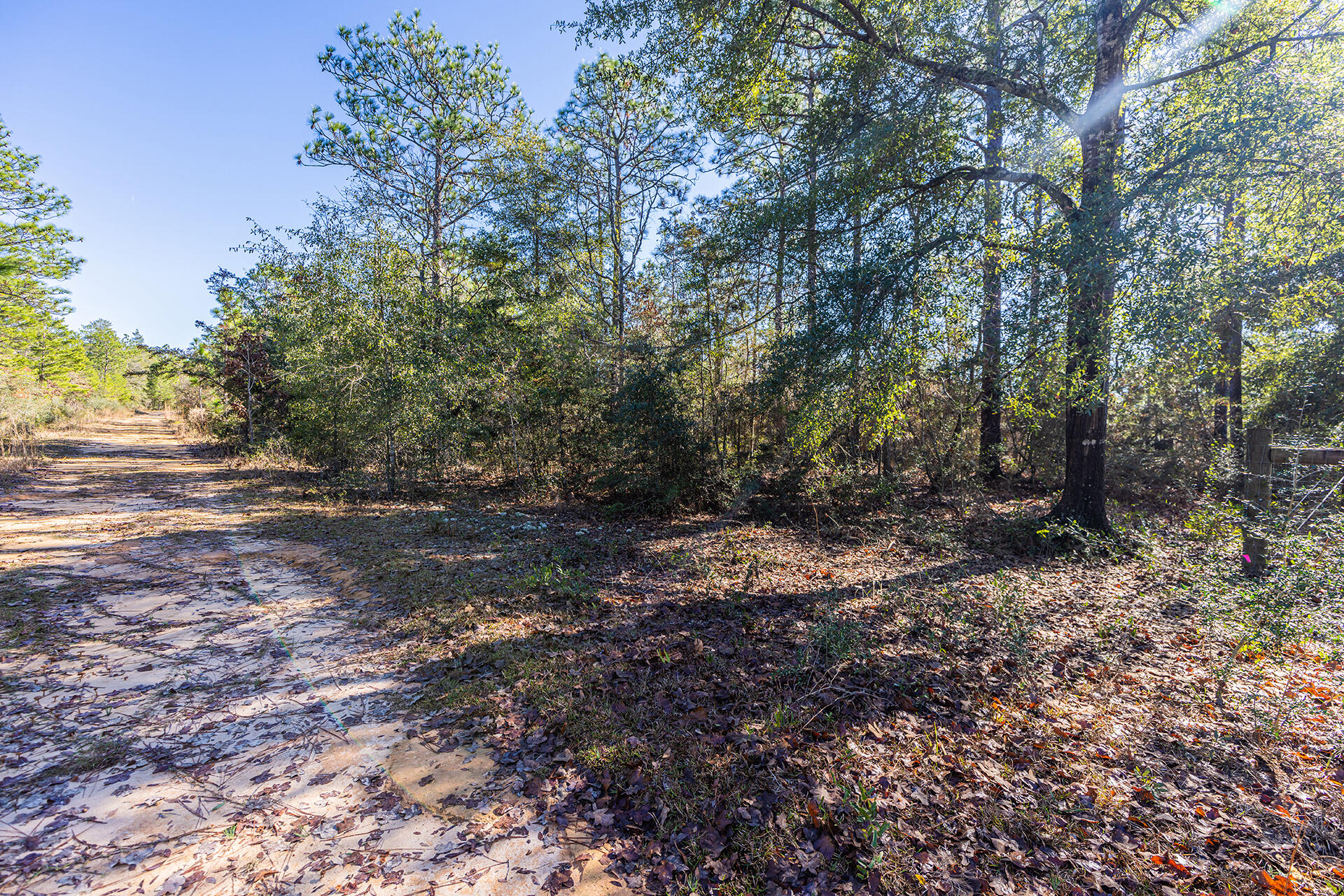 METES & BOUNDS - Land