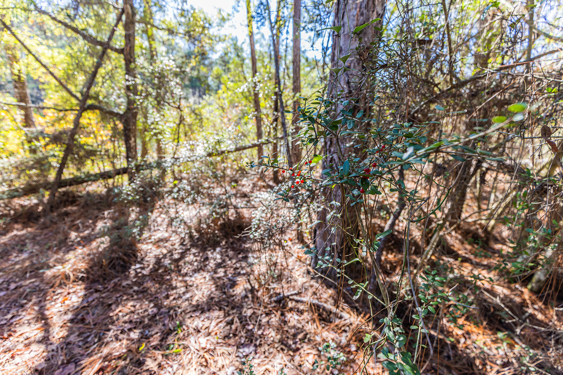 METES & BOUNDS - Land