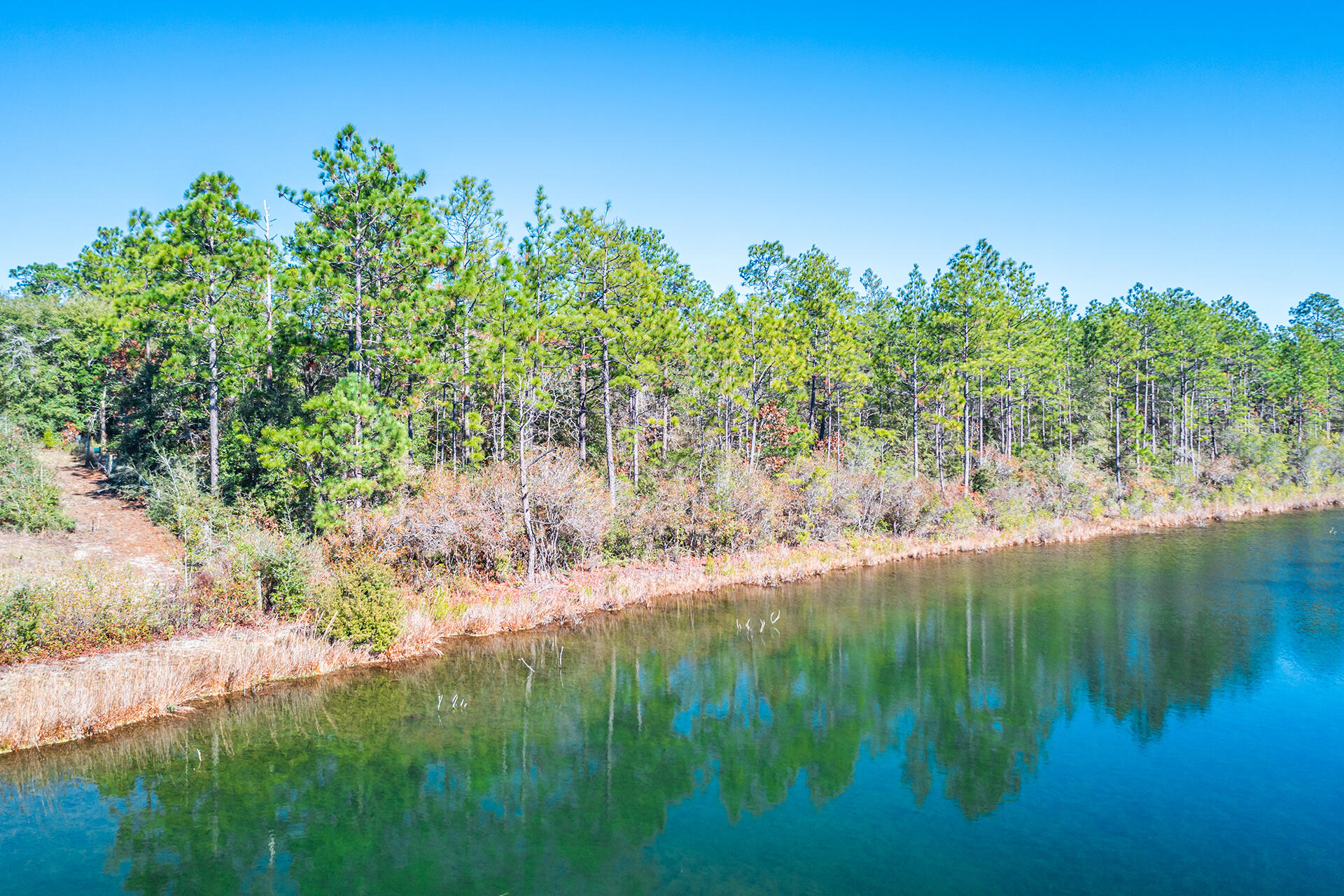 Wooded LAKEFRONT LOT featuring 3.41 acres with lake access! Dreaming of lakefront living? Imagine building your dream home and waking up each day to tranquil views of a spring-fed lake. With 267' of waterfront lake access, this property is prime for any water enthusiast.No HOA.