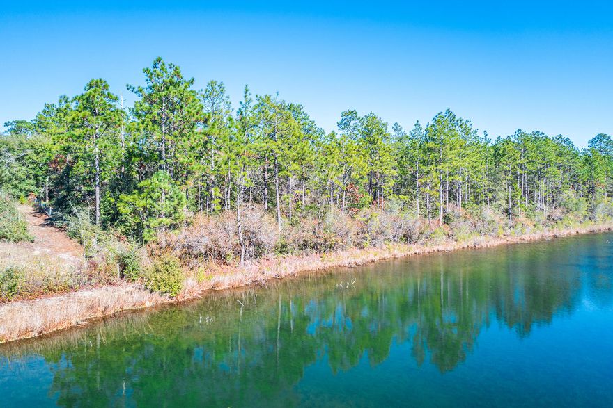 Wooded LAKEFRONT LOT featuring 3.41 acres with lake access! Dreaming of lakefront living? Imagine building your dream home and waking up each day to tranquil views of a spring-fed lake.  With 267' of waterfront lake access, this property is prime for any water enthusiast.No HOA.
