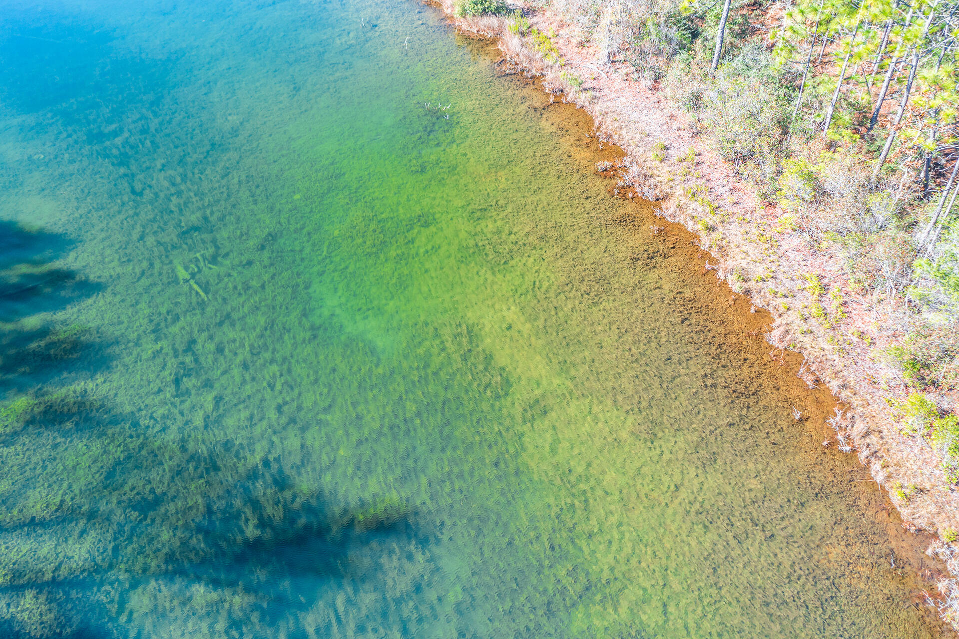 METES & BOUNDS - Land