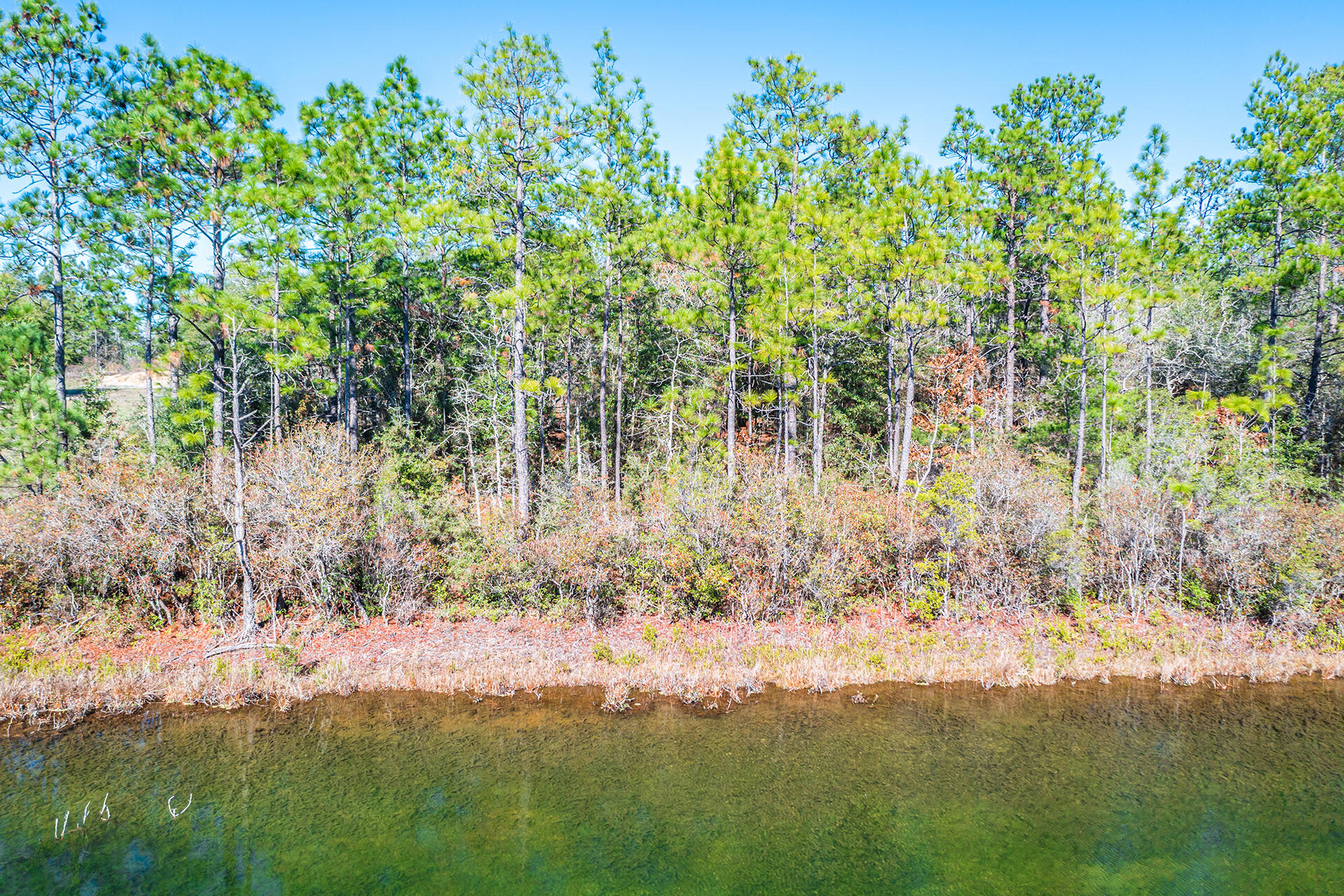 METES & BOUNDS - Land