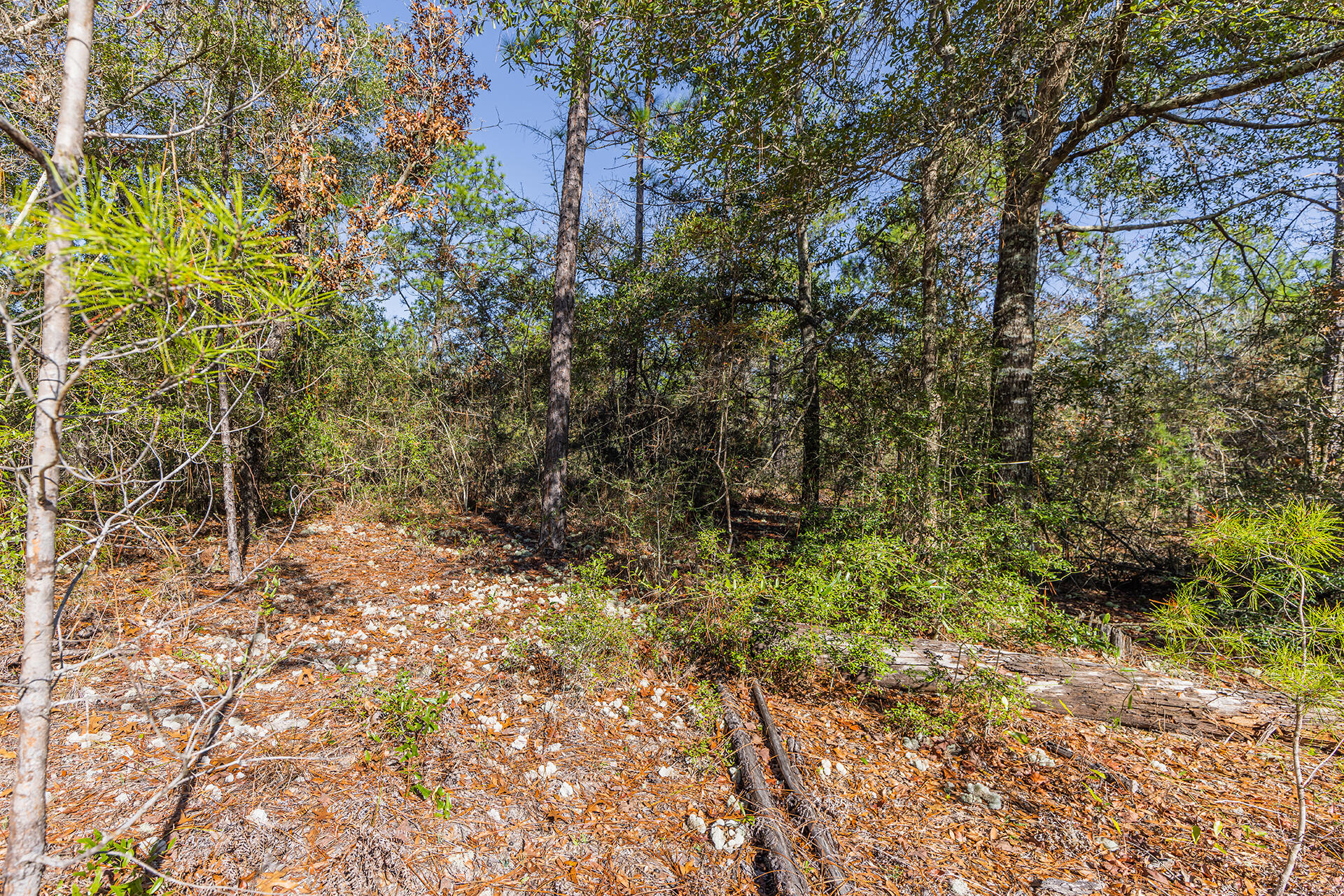 METES & BOUNDS - Land