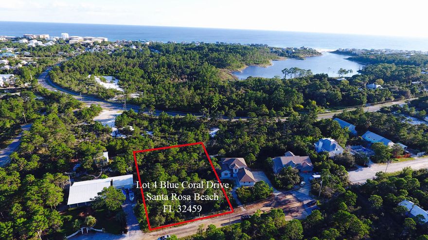 JUST REDUCED BY $10,000. MOTIVATED SELLER. PRIVATE OVERSIZED LOT! West Blue Coral Drive was recently paved! Rare opportunity to own a large 1/2 acre lot in the quiet Pines of Blue Mountain with tons of privacy. This rare find along 30A offers easy access to miles of bike and walking paths and close by beach access. Enjoy the 30A Lifestyle and Bike, walk or drive to Grayton Beach, Seaside or Gulf Place with plenty of shopping, dining and entertainment options. The aerial photos show just how large this lot really is, and how much room is available to Build your beautiful home on this 1/2 acre lot. Call today for more information. Buyer to verify all information to buyers satisfaction including but not limited to lot size, zoning etc.