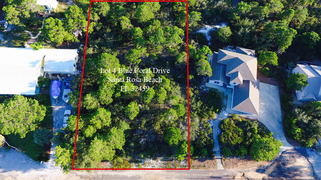 PINES OF BLUE MOUNTAIN - Land