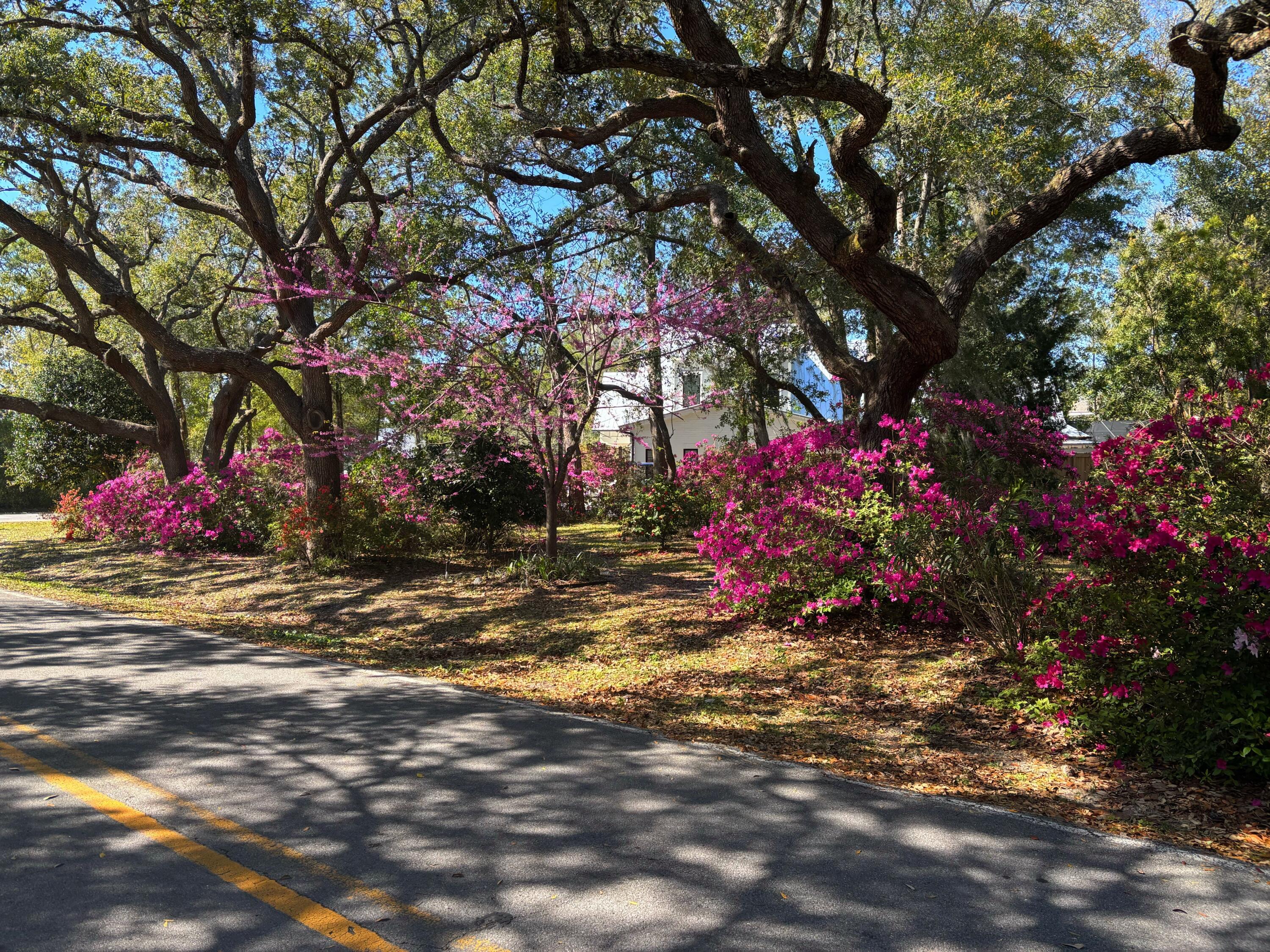 DAUGHETTES AMENDED - Land