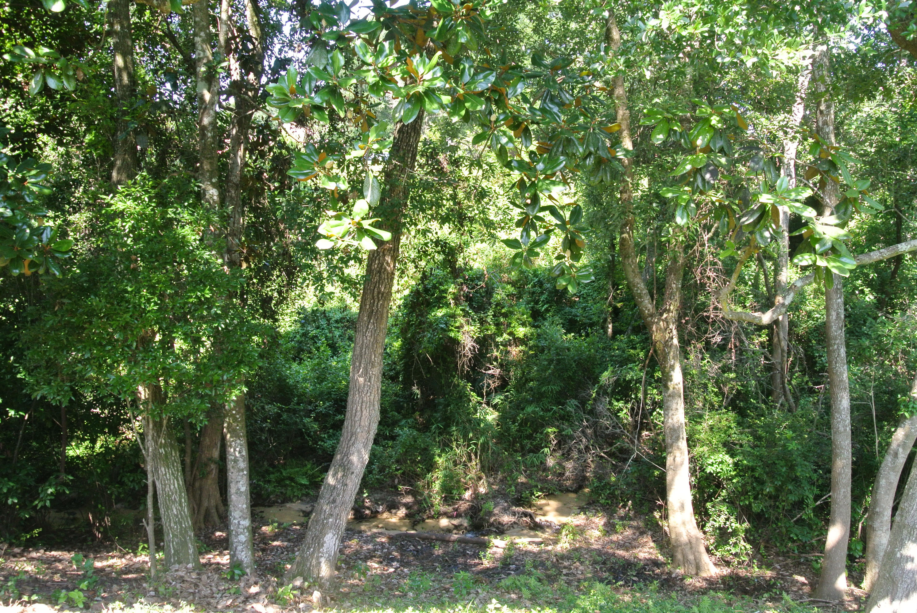 ROCKYWOOD PH 5 - Residential