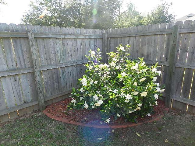 SUNDIAL ESTATES PH 1 - Residential