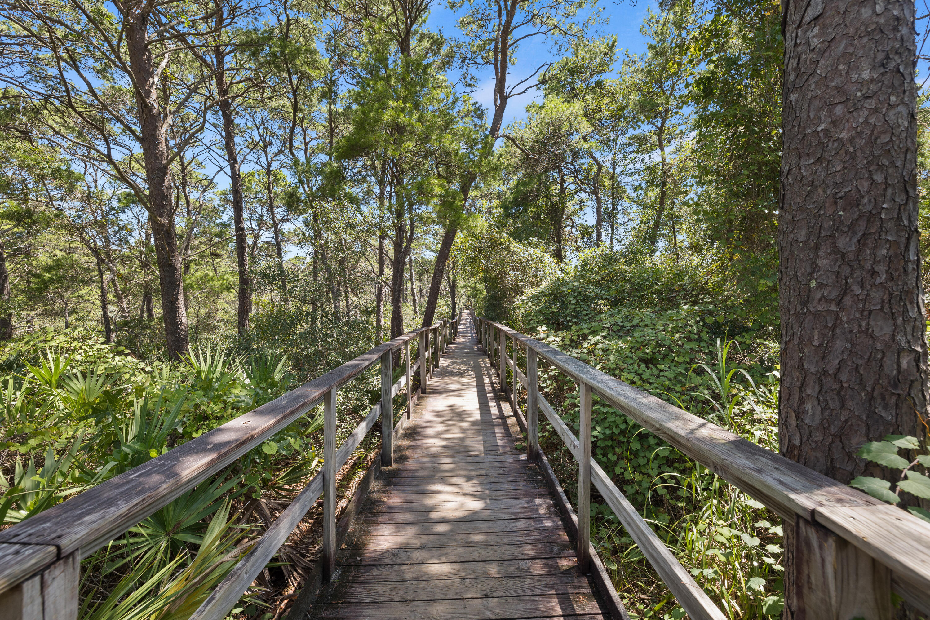 PRESERVE PLACE - Residential