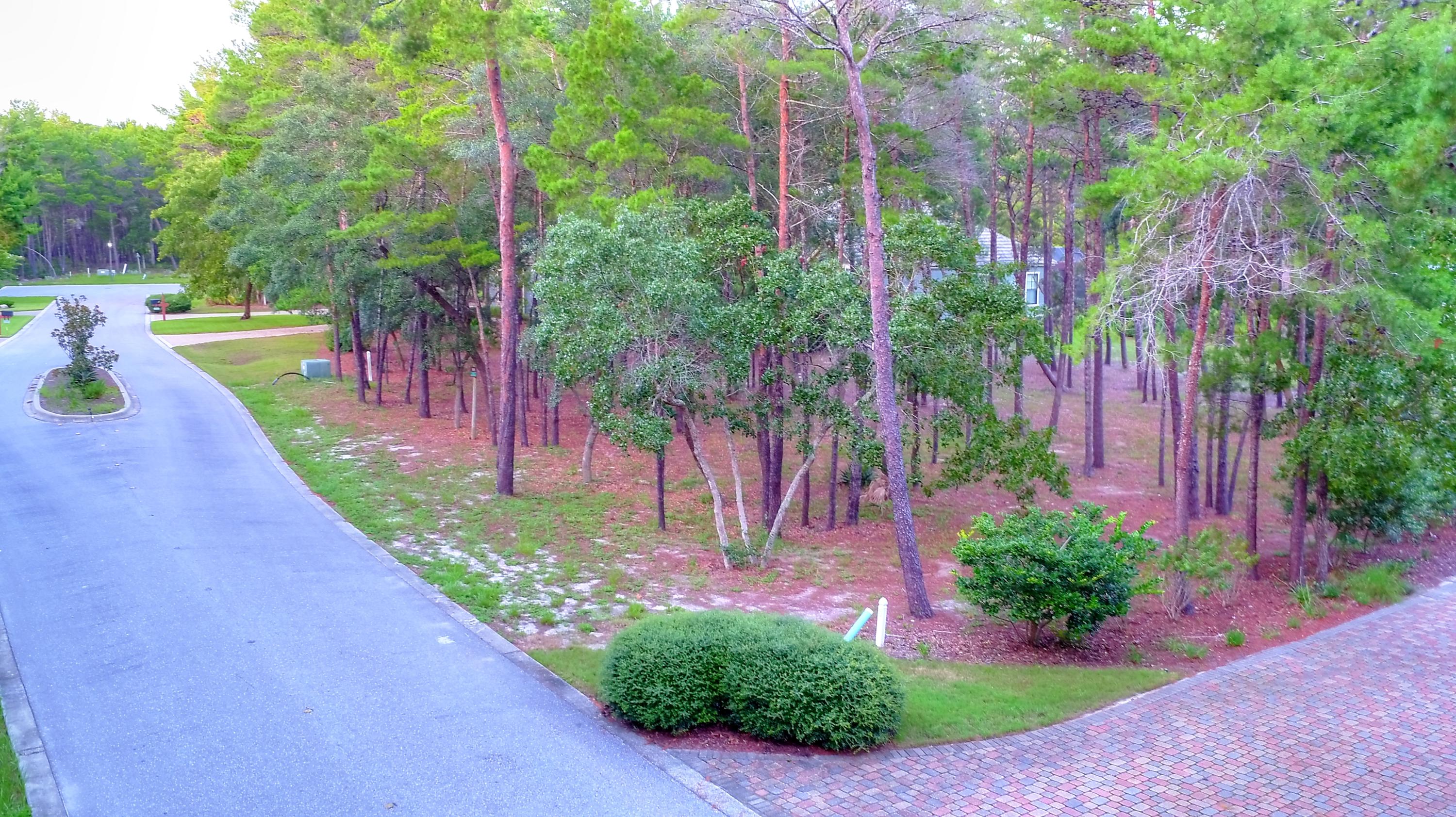 MOTIVATED SELLER!Beautiful home lot in the gated waterfront community of Wild Heron. Lot backs up to waterfront conservation area. Craftsmand style executive homes are located in this area of Wild Heron. This is the closest gated large community to the 30A area without having to pay 30A home and lot prices. 1614 Shark's Tooth Trail also available at $59,900.