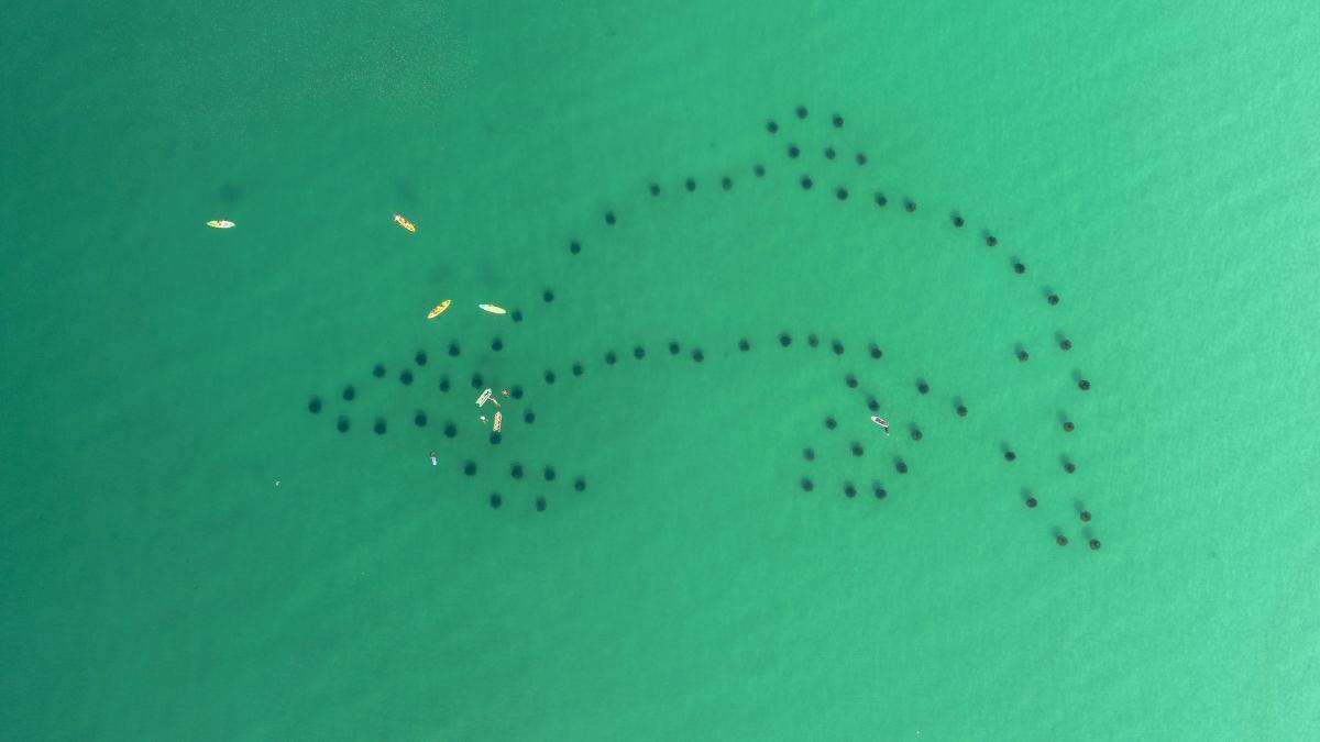 CRYSTAL VILLAGE 2 CONDO PH 2 - Residential