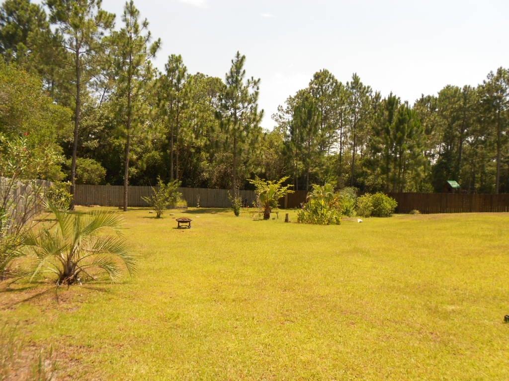 PALMETTO RIDGE - Residential