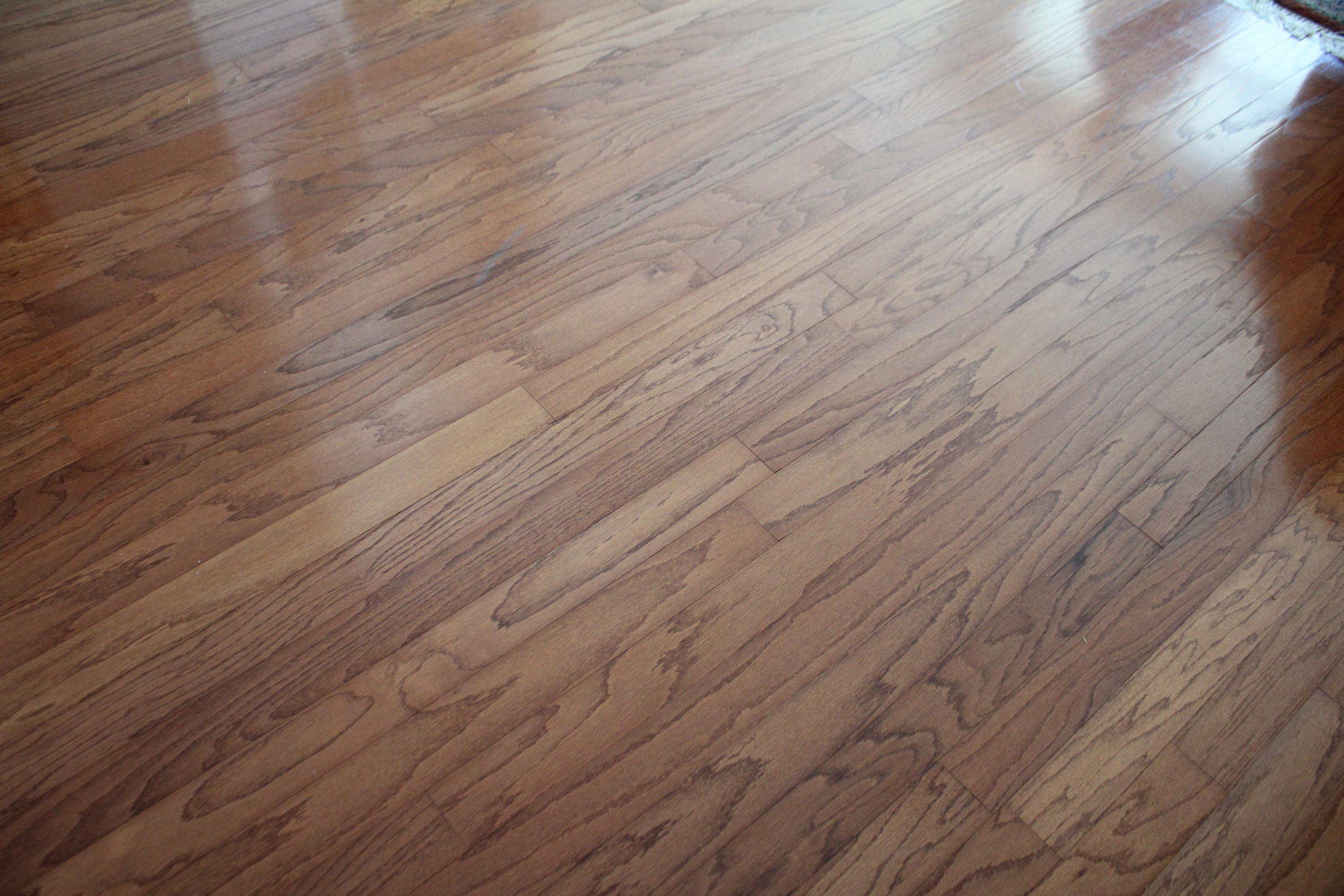 DANA POINTE - Residential