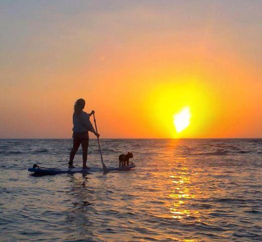 Jetty East Condominium - Residential