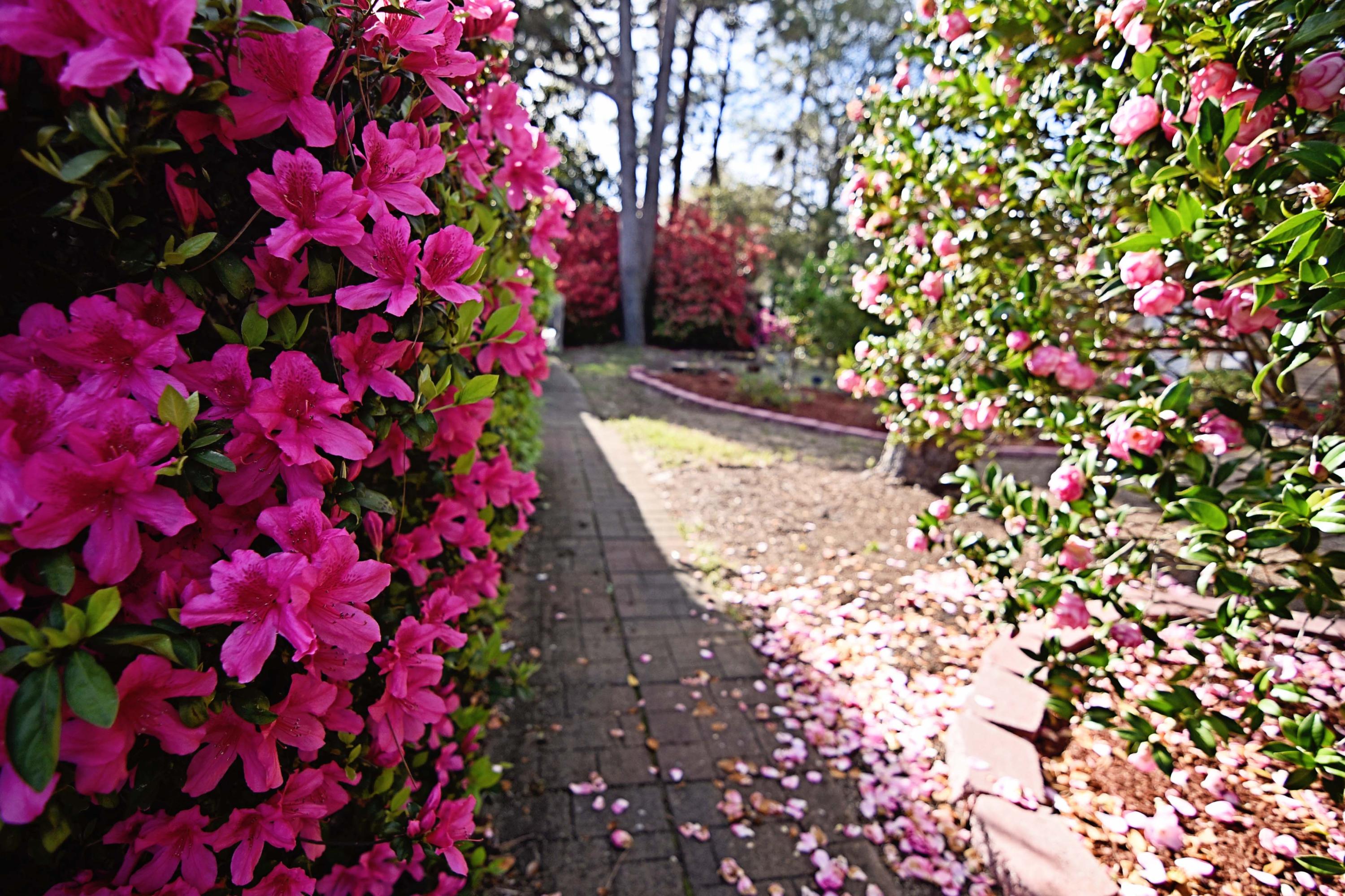 ST ANDREWS VILLAGE SOUTH 2 - Residential