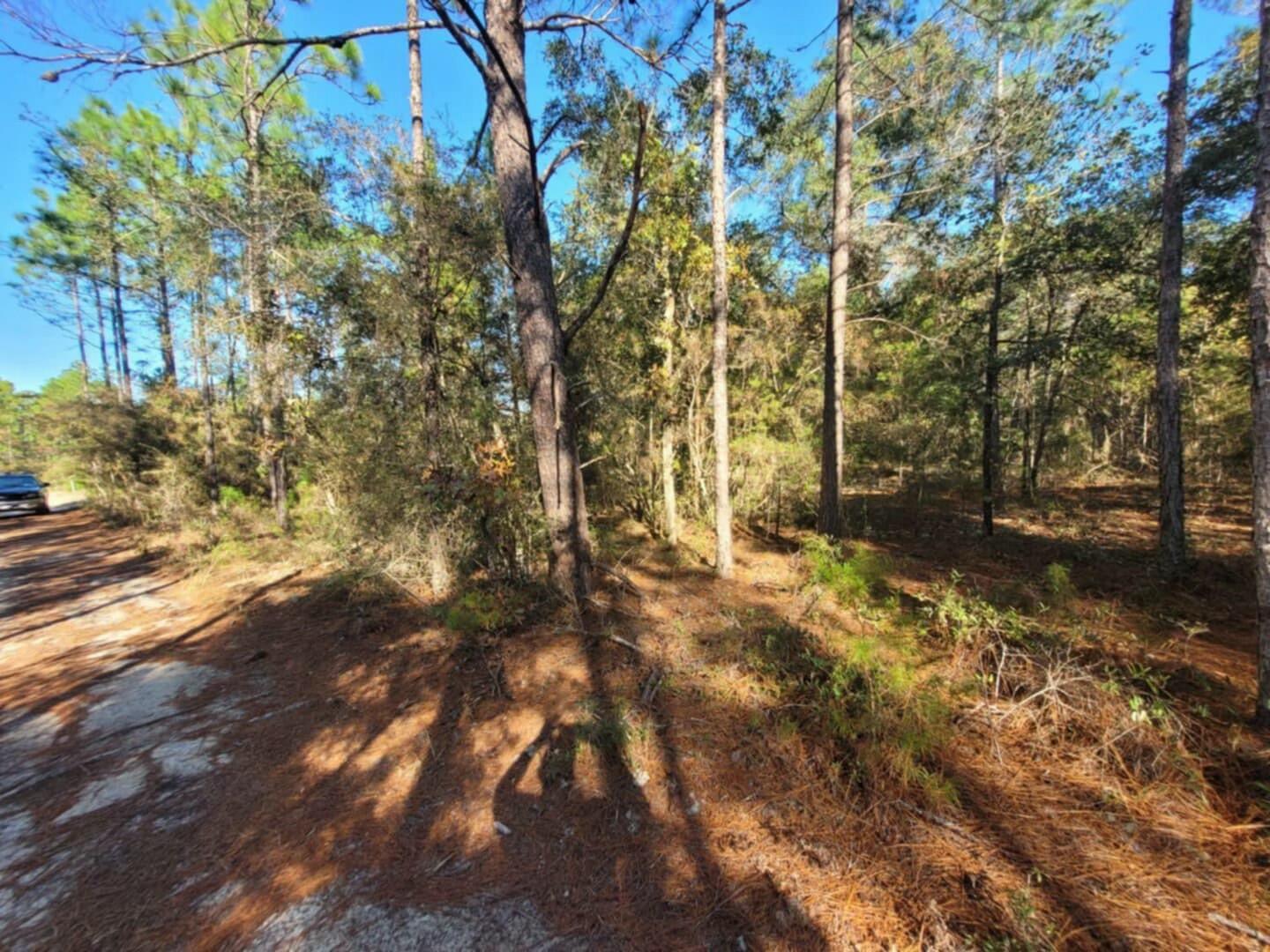 Wood lot in DeFuniak Springs FL and Mossyhead. No HOA. Minimal Restrictions. Modular homes allowed. There are no existing utilities. Well/Power/Septic required. Property is Flood Zone X. Per the Walton GIS mapping, the property does not appear to have wetlands. Easy access to the I-10 & CR 285 south making it a great location for work no matter what direction you need to go! You will be approx. 30-45 mins to most workplaces as as well as the beautiful white sandy beaches of Florida famous Emerald Gulf Coast and Crab Island. Buyer needs to verify building codes, zoning regulations, wetlands and flood zones, etc with proper local authorities to ensure buyer will be able to utilize the property for intended use. Information contained within this listing is deemed to be to be accurate but is not guaranteed.