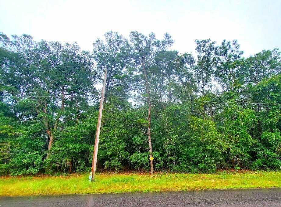 Michaelmas Addition - Land