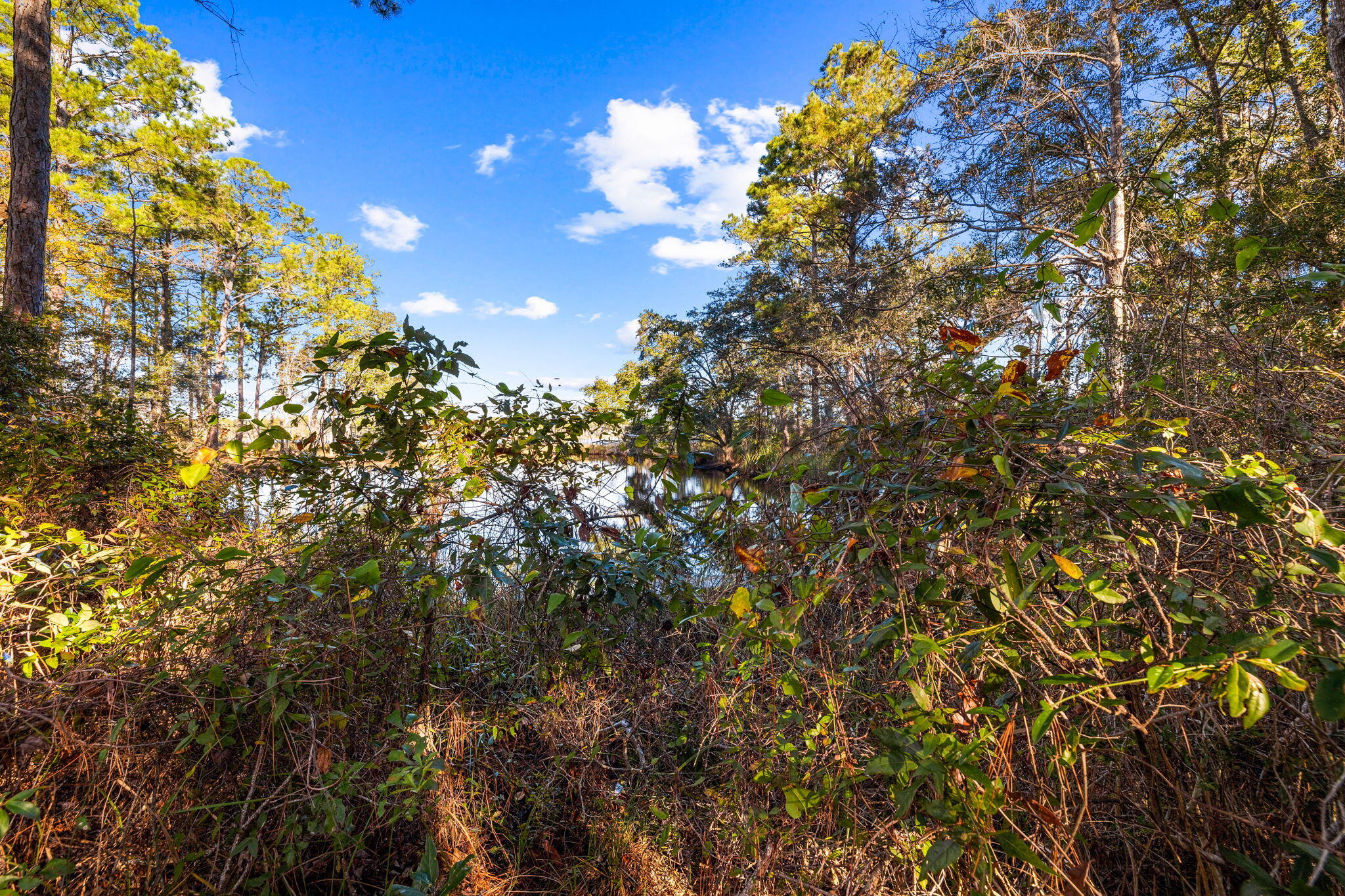 BAYOU BEND - Land