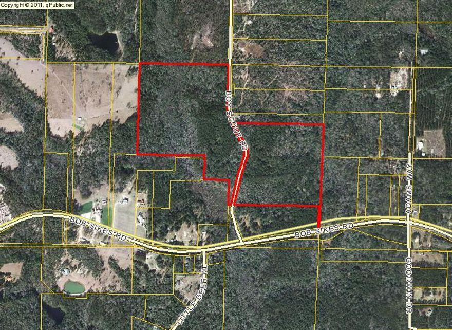45.91 acres on the West side of Boy Scout Road. Located near intersection of Bob Sikes Road and Boy Scout Road.