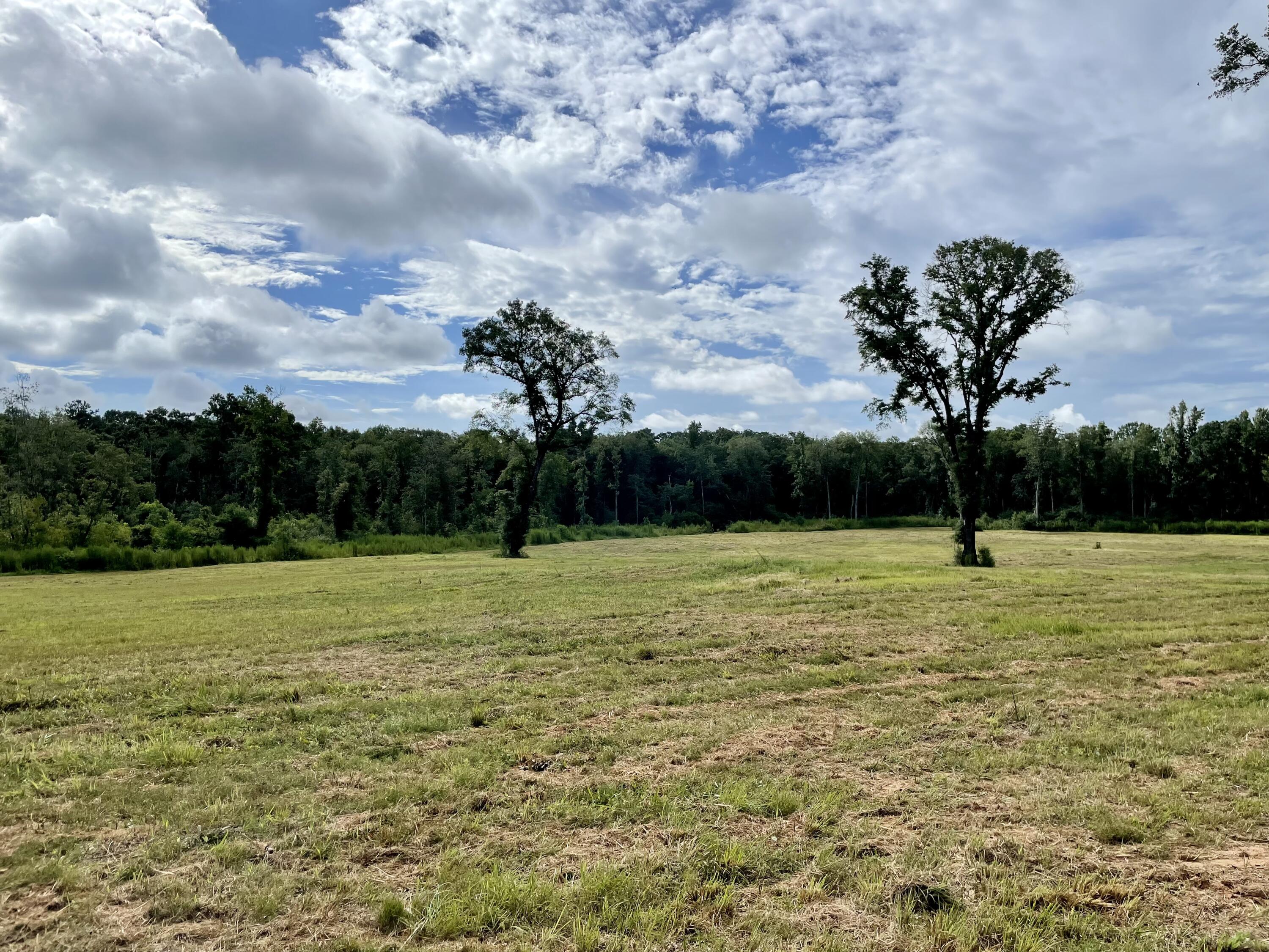 UNRECORDED SUBDIVISION - Residential