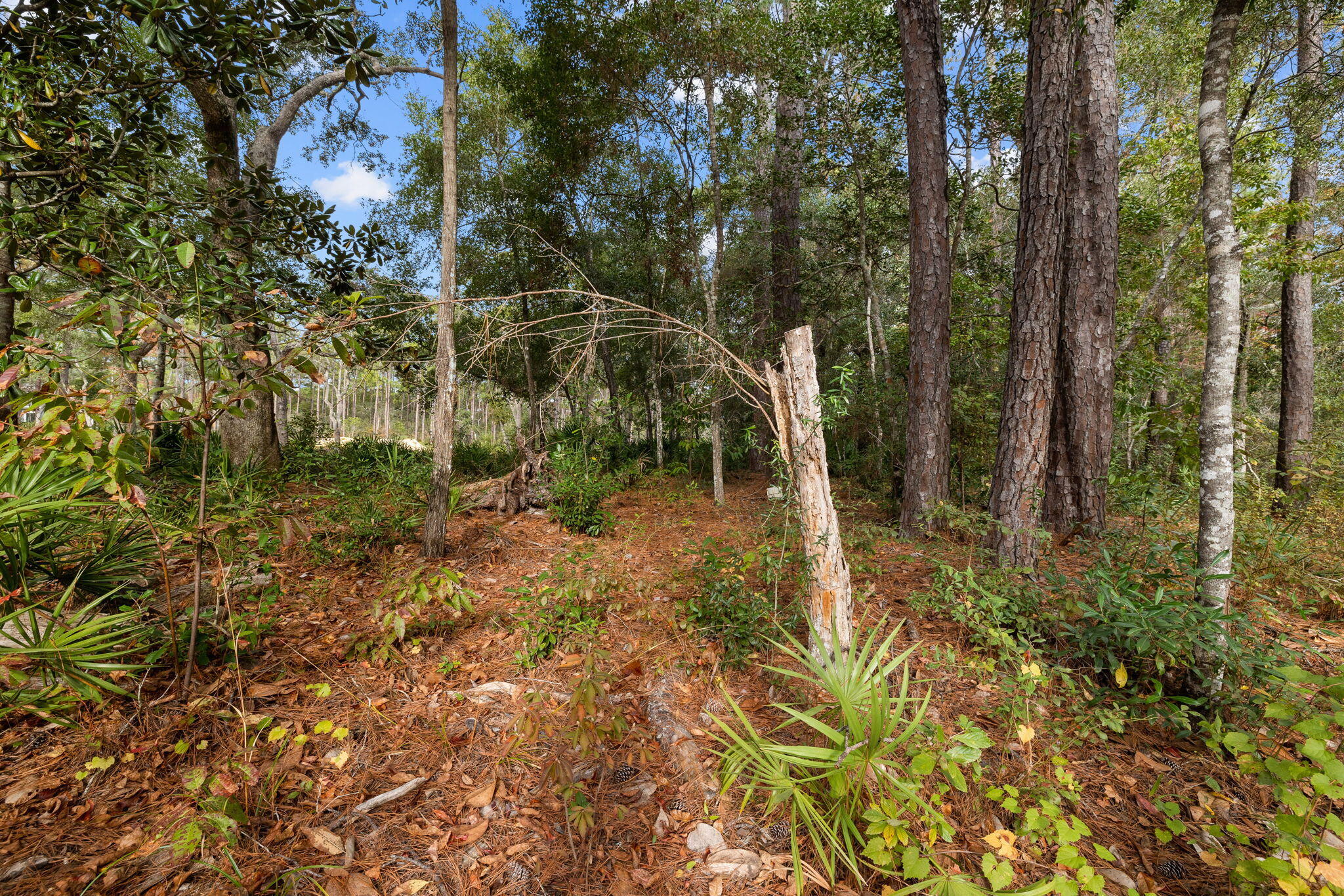 CROSS CREEK SHORES - Land