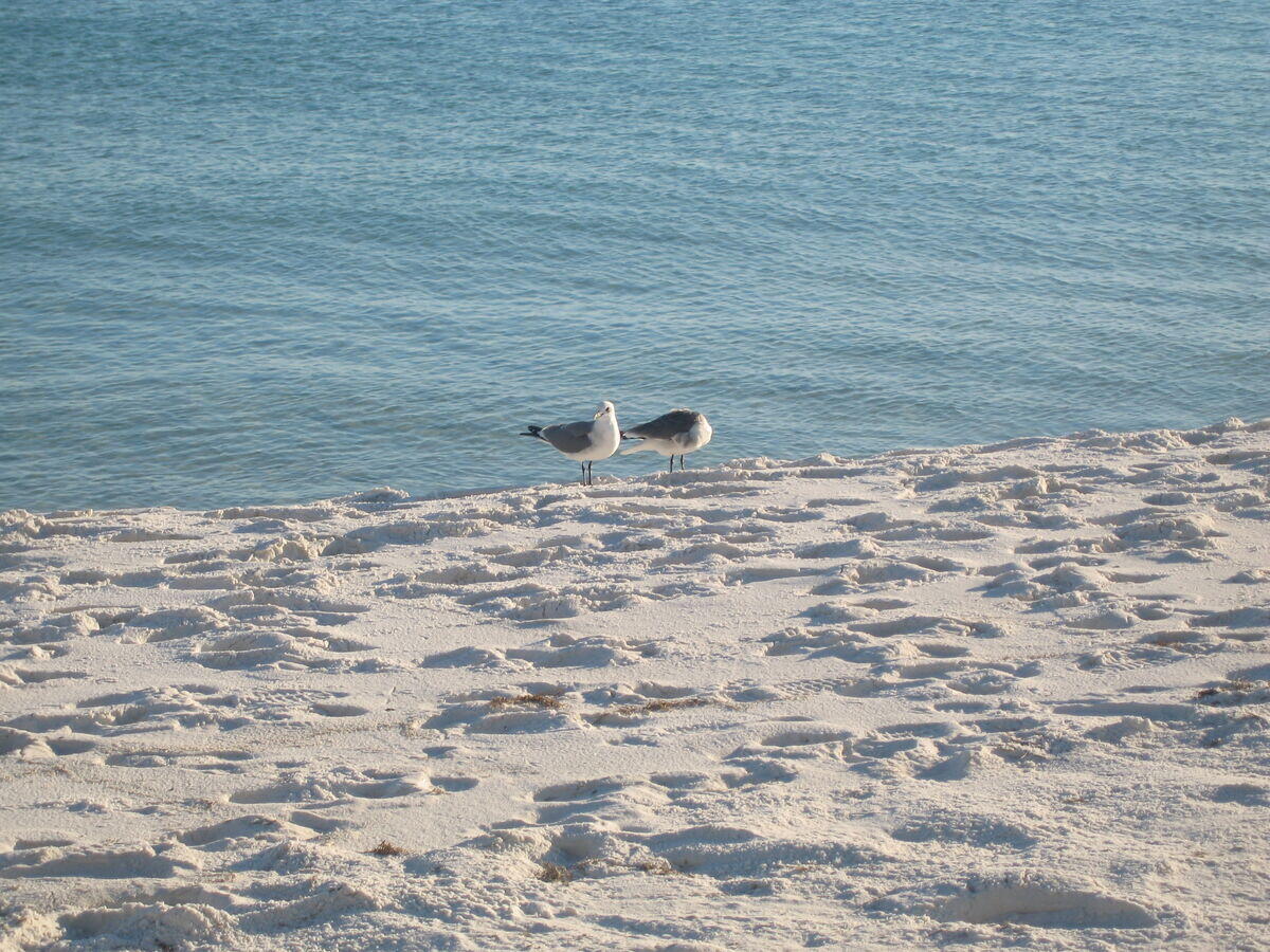 SEA DUNES - Residential