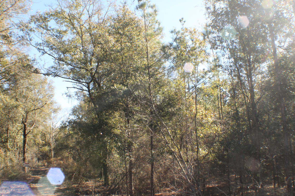 MILLERS BLUFF - Land