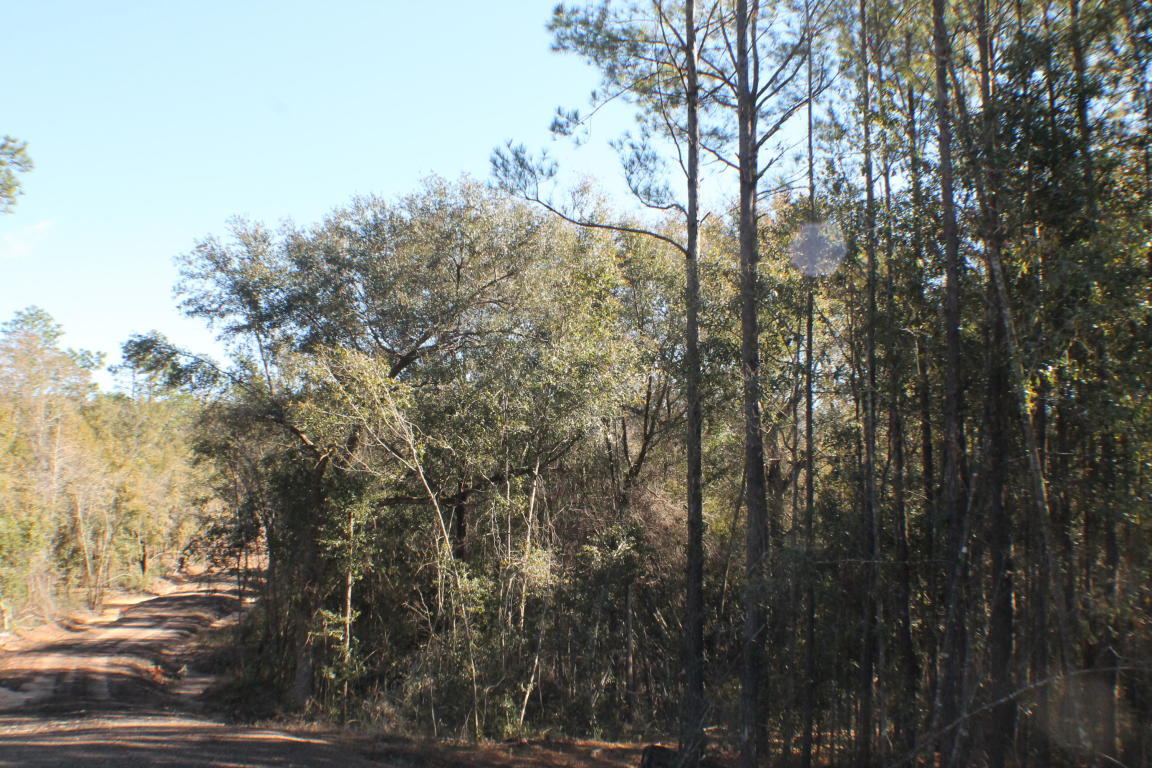 MILLERS BLUFF - Land