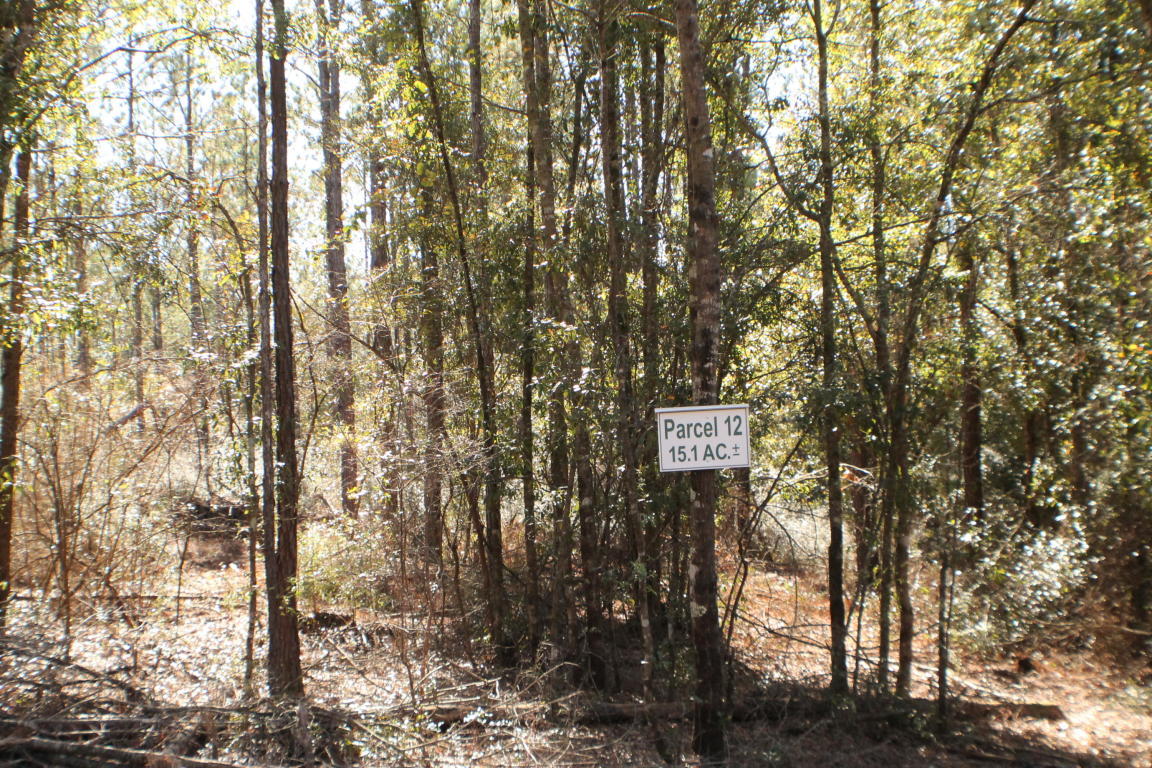 MILLERS BLUFF - Land