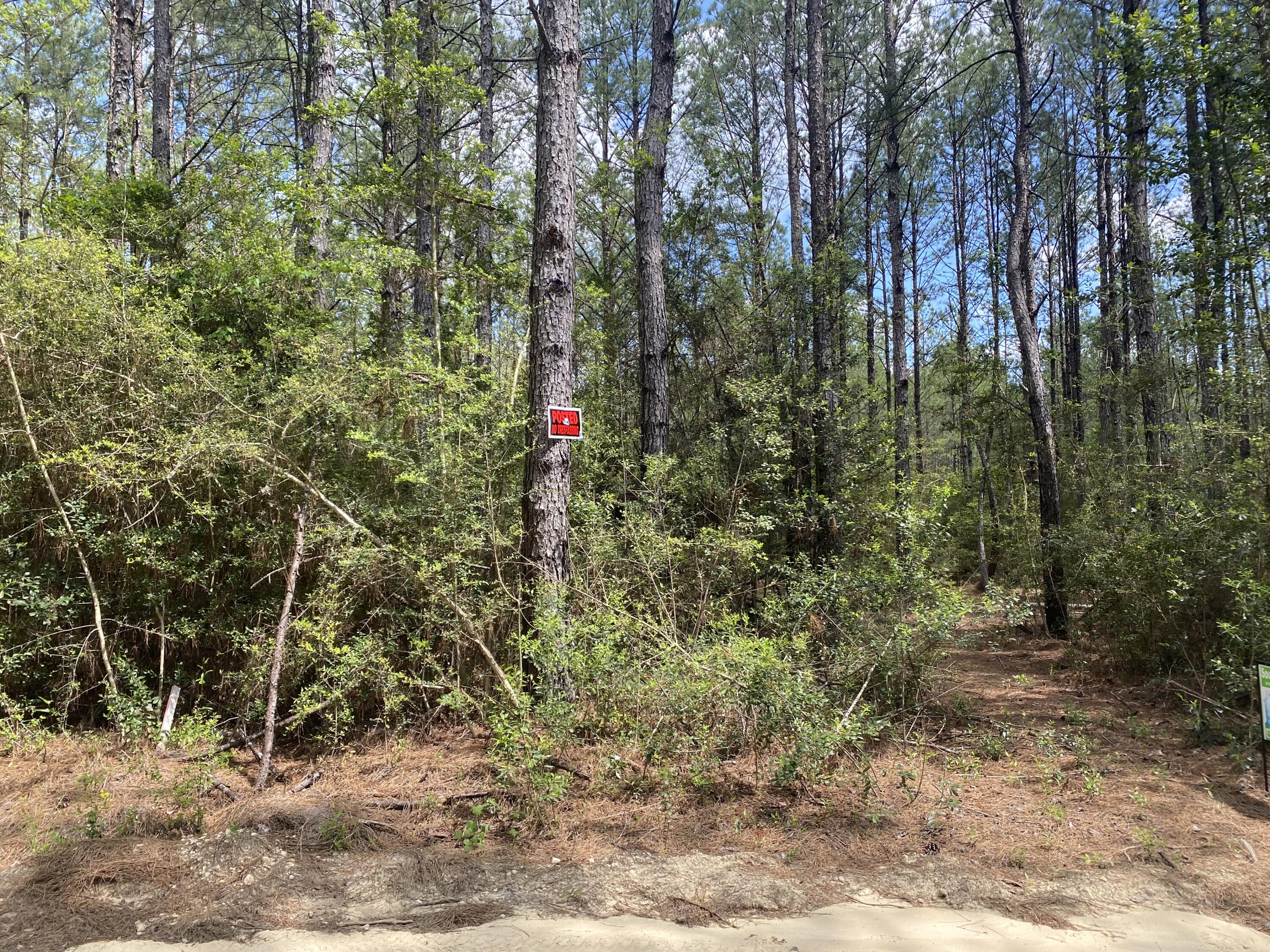 WALTON PLANTATION - Land