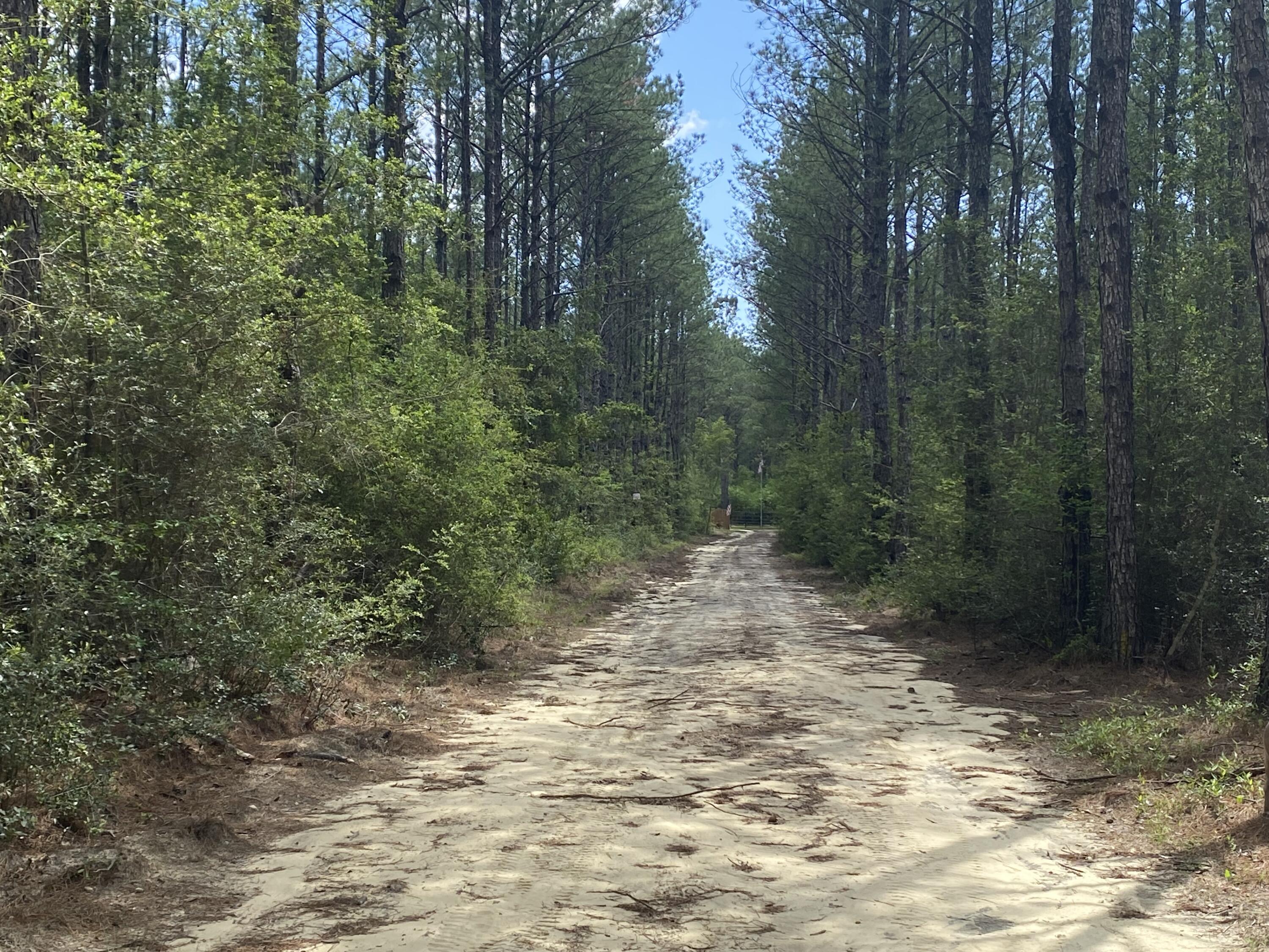 WALTON PLANTATION - Land