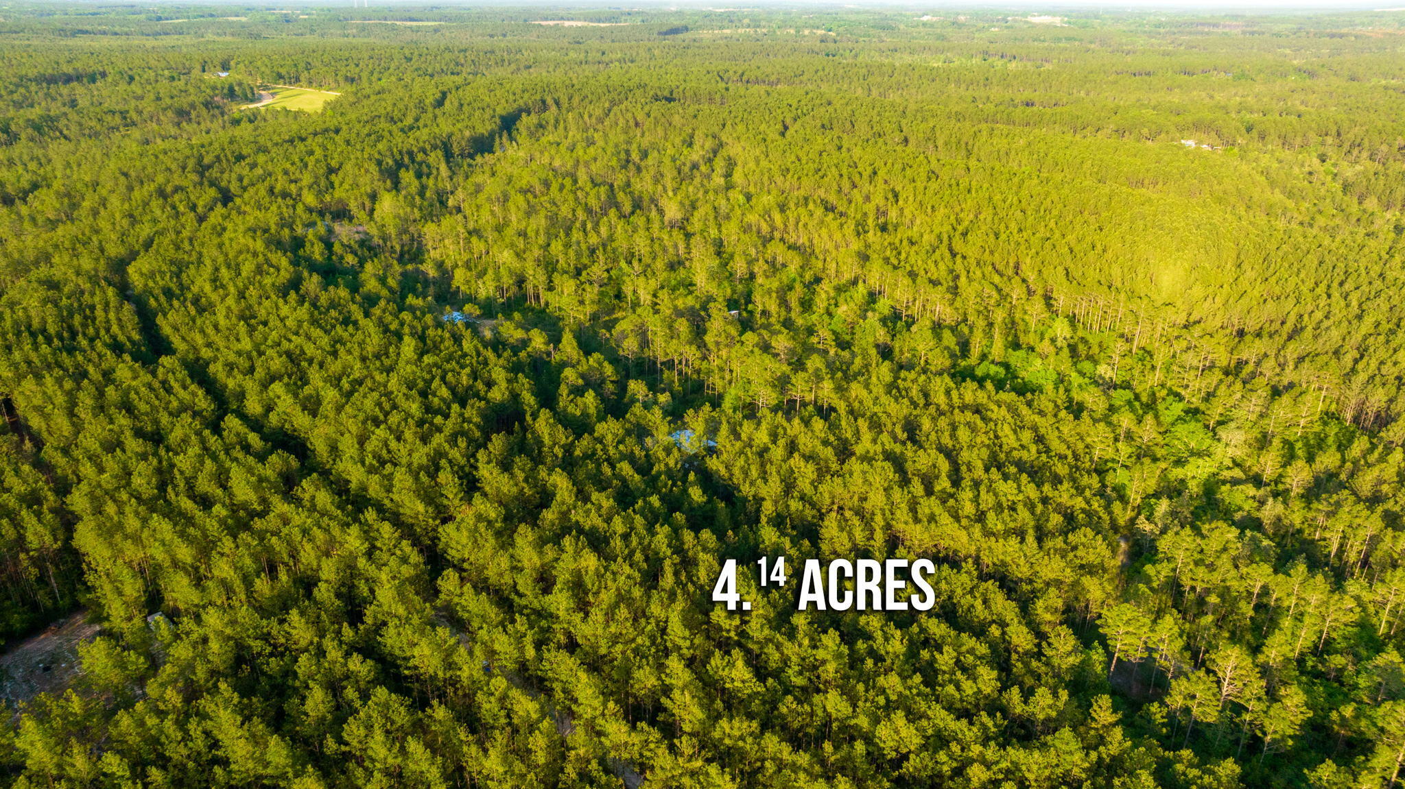 WALTON PLANTATION - Land