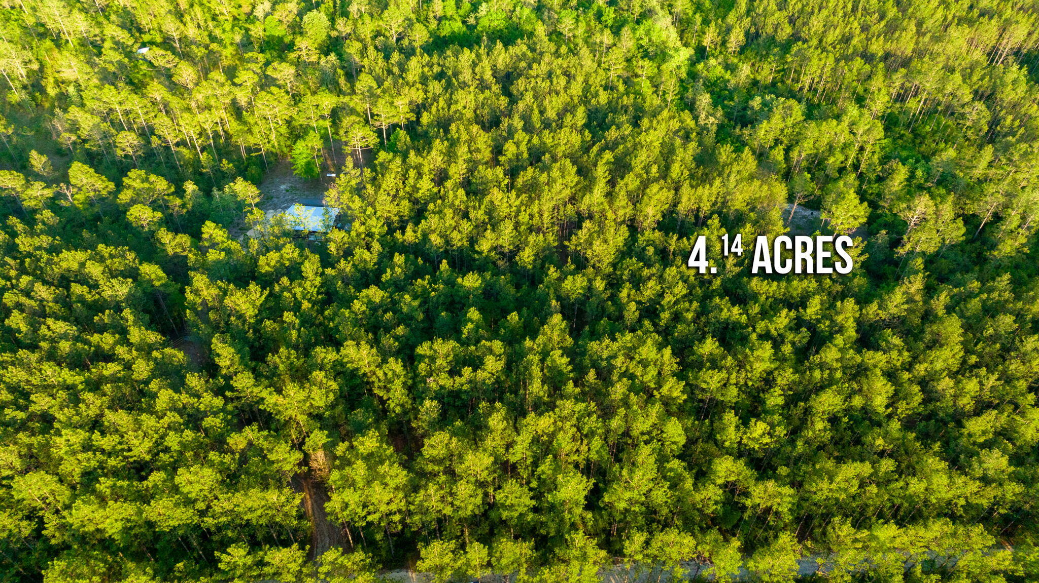 WALTON PLANTATION - Land