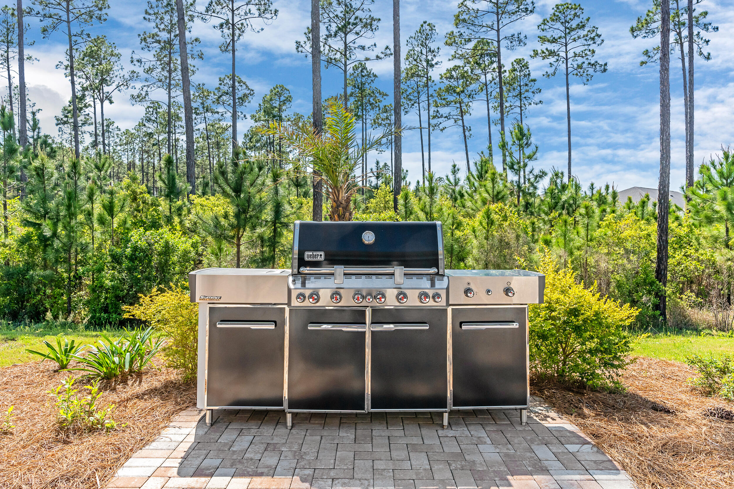 NatureWalk at WaterSound Origins - Residential