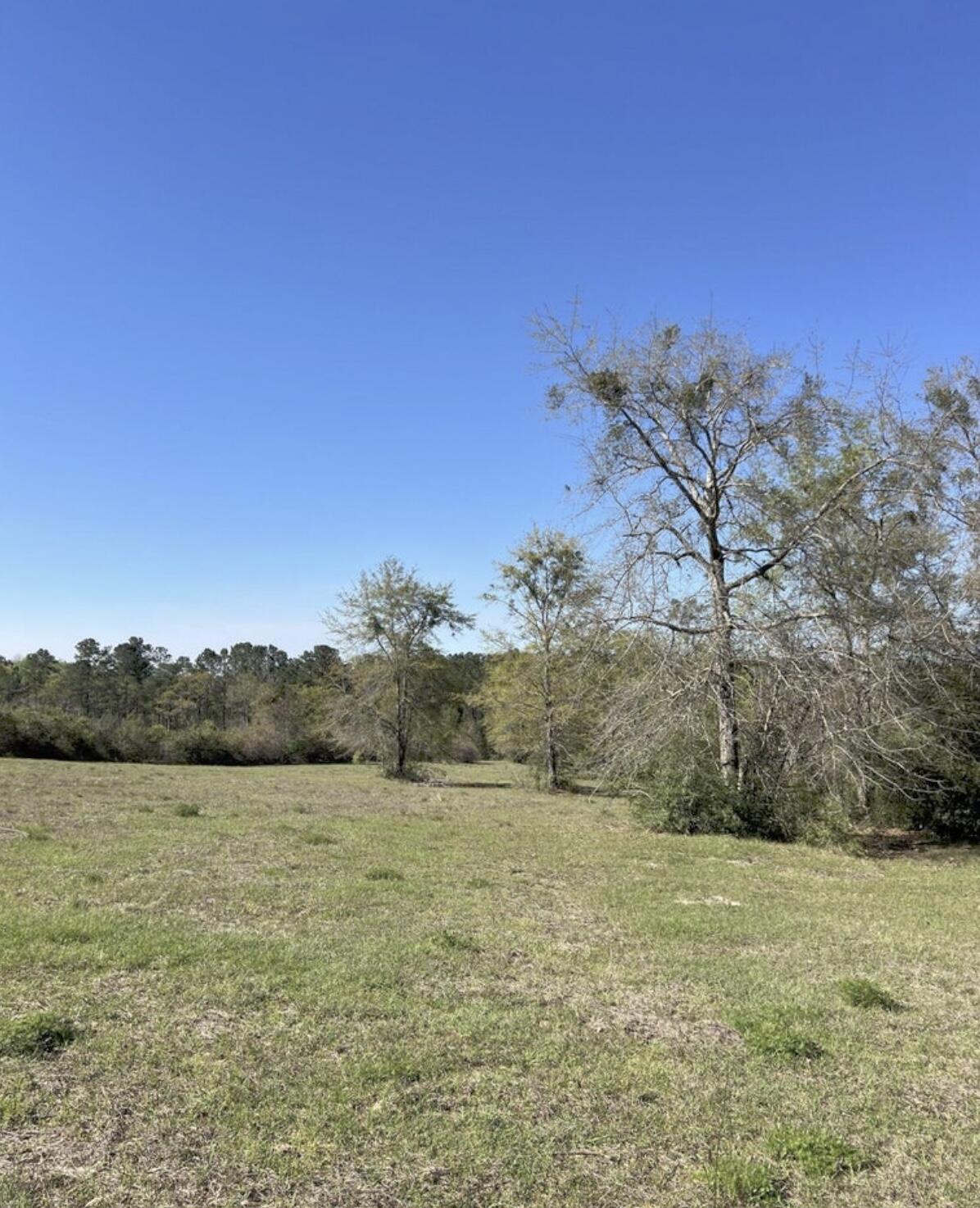 Three parcels included in this listing totaling 75 acres +- containing a huge 42x72 barn built on 8x8 timbers with towering 16 foot eaves with the convenience of power already in place. They are currently zoned agricultural and allows for one house per acre. The property is conveniently situated approximately 3.5 miles from the I-10 interstate exit, making it easily accessible. Additionally, it is only half a mile away from Vortex Springs, offering a beautiful natural attraction nearby. The land itself is a combination of cleared and naturally wooded areas, as well as a planted pines that should be ready for thinning in a few short years, adding equitable value and providing a diverse landscape for potential development or recreational use. Parcel #1808.00-000-000-003.000 and Parcel # 1808.00-000-000-002.000, and Parcel #1808.00-000-000-004.100